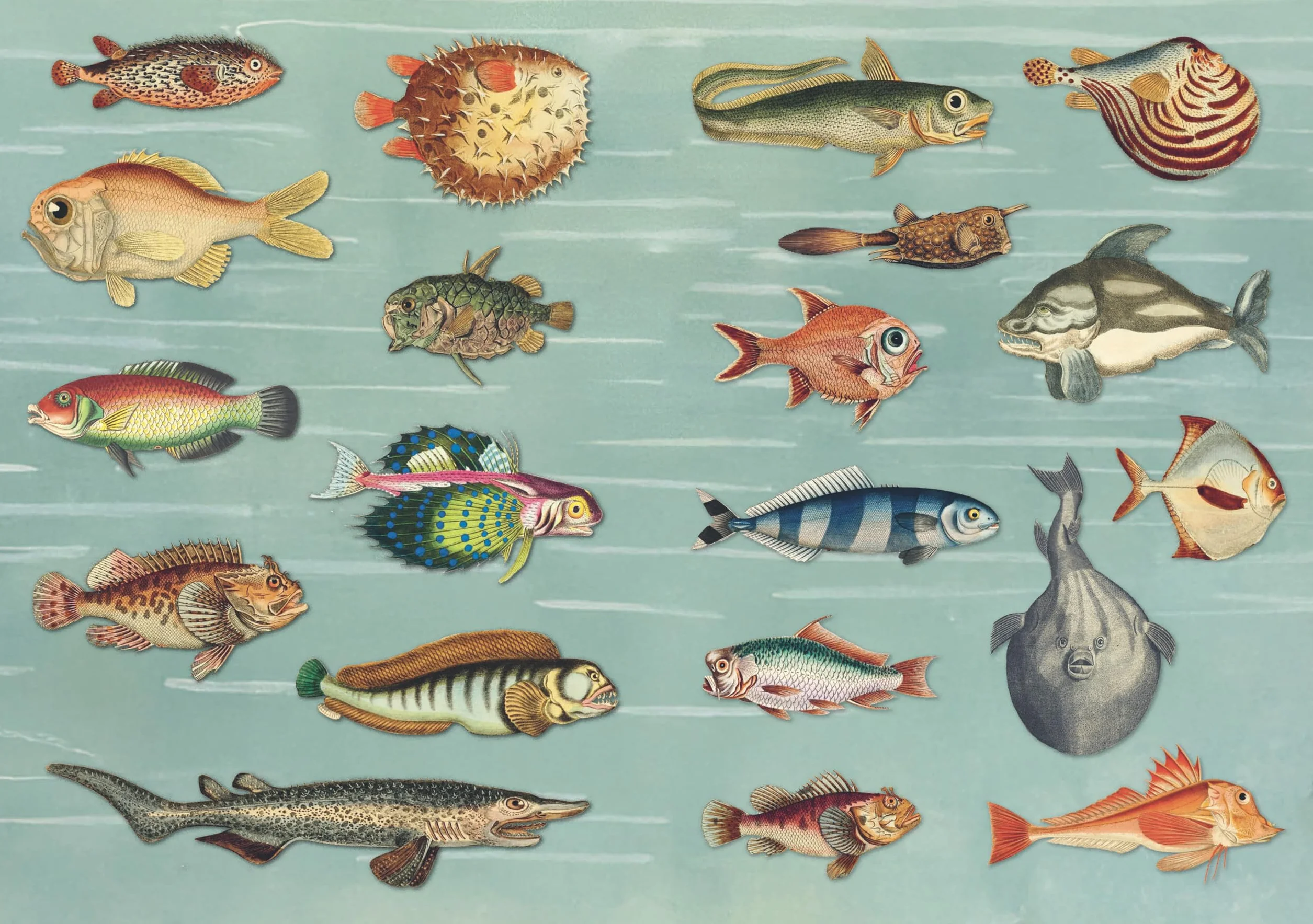 The Curious Collectibles Sticker Book /anglais