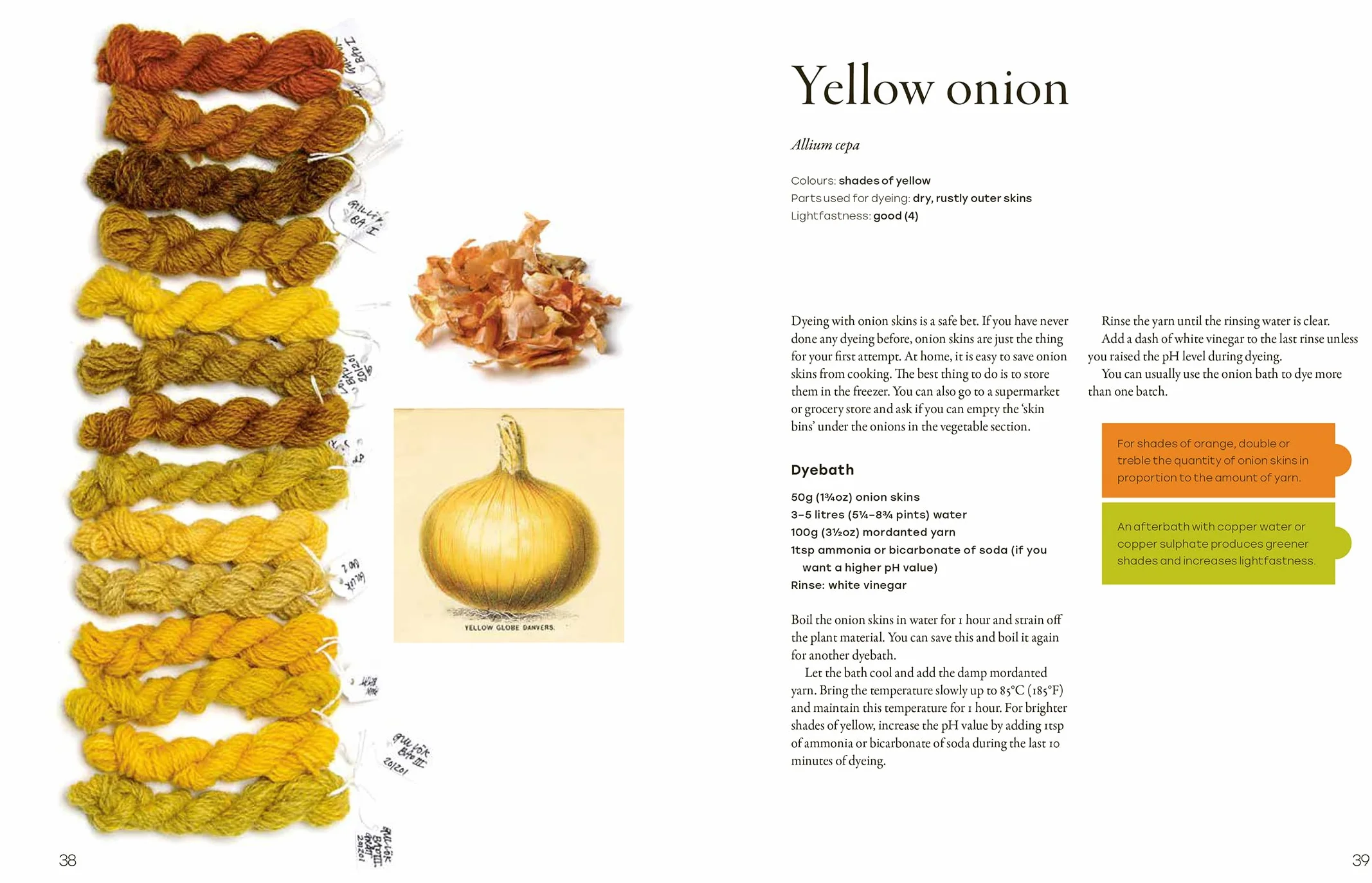 Natural Yarn Dyes: 25 Vibrant and Sustainable Recipes