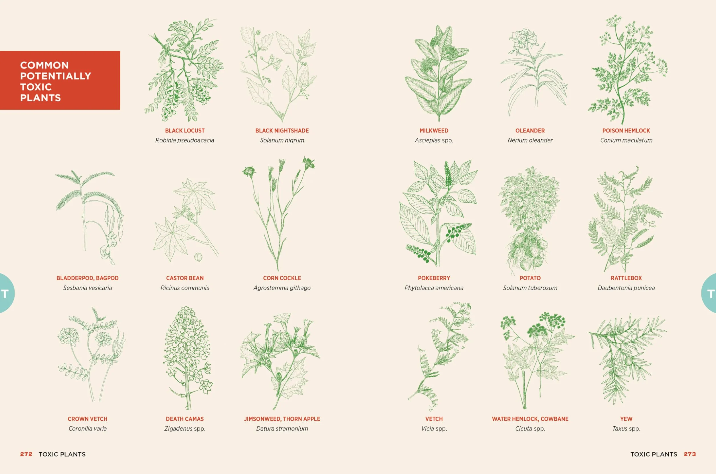 The Chicken Encyclopedia: An Illustrated Reference