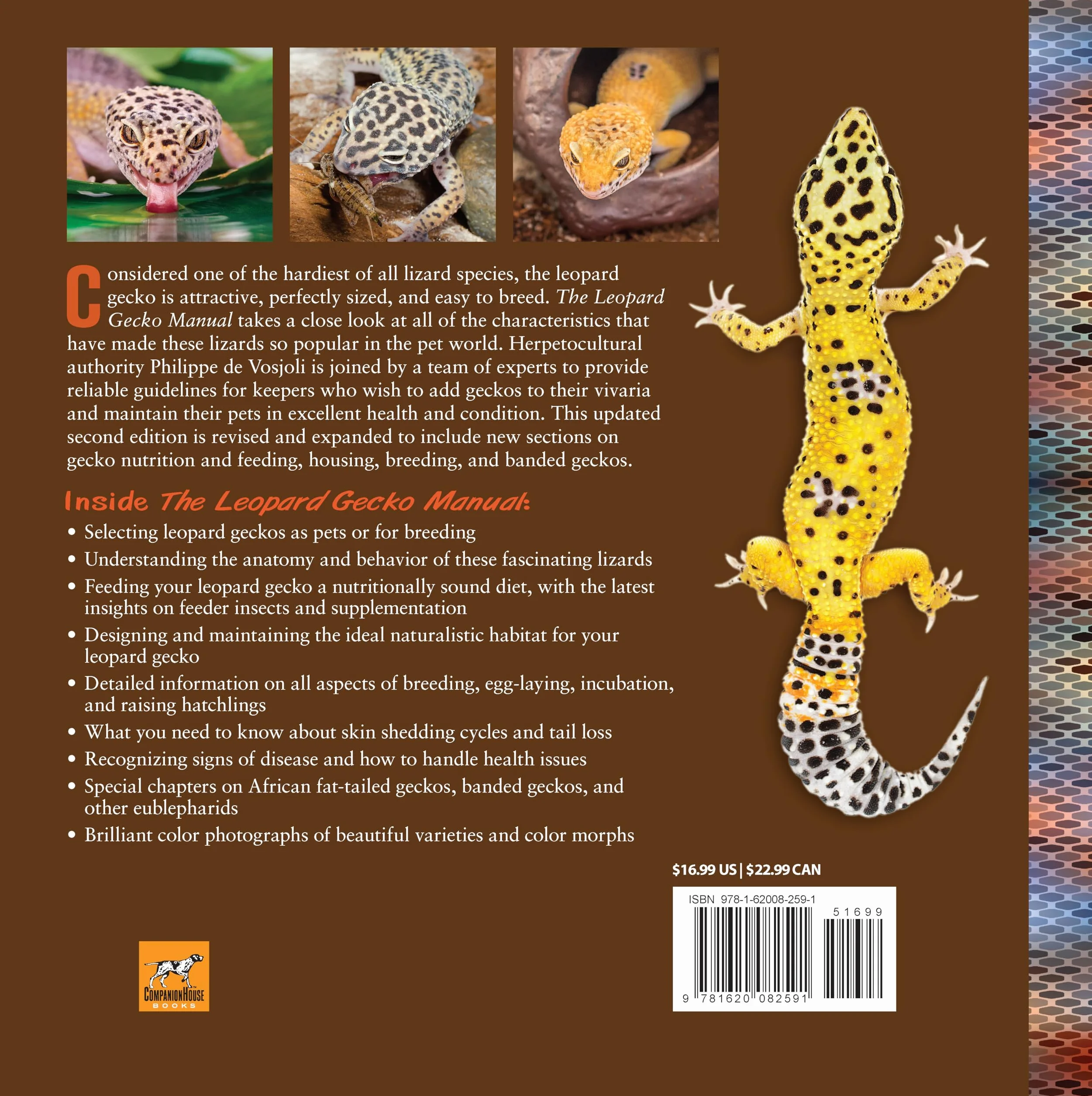 The Leopard Gecko Manual: Expert Advice for Keeping and Caring for a Healthy Leopard Gecko