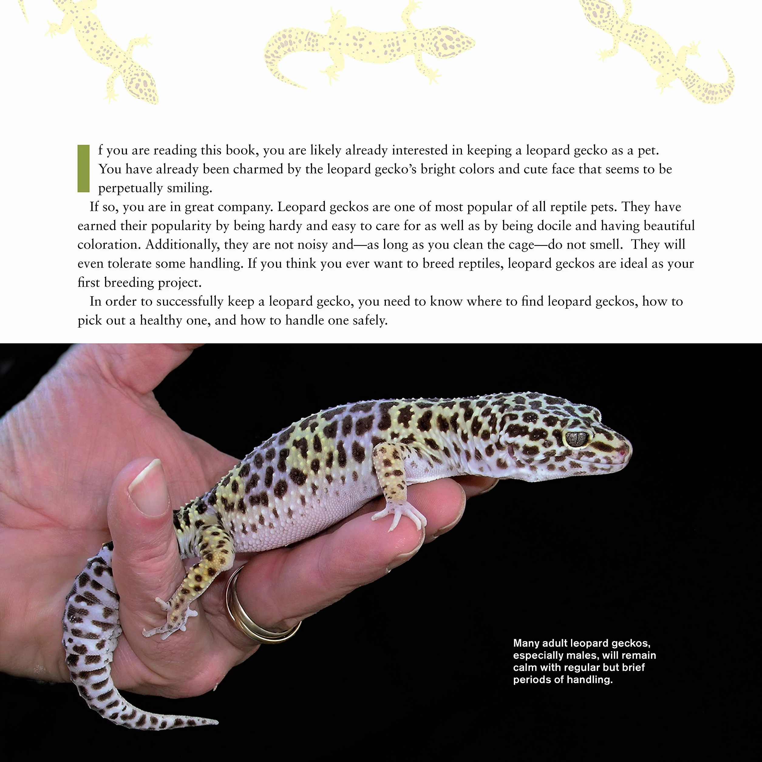 The Leopard Gecko Manual: Expert Advice for Keeping and Caring for a Healthy Leopard Gecko