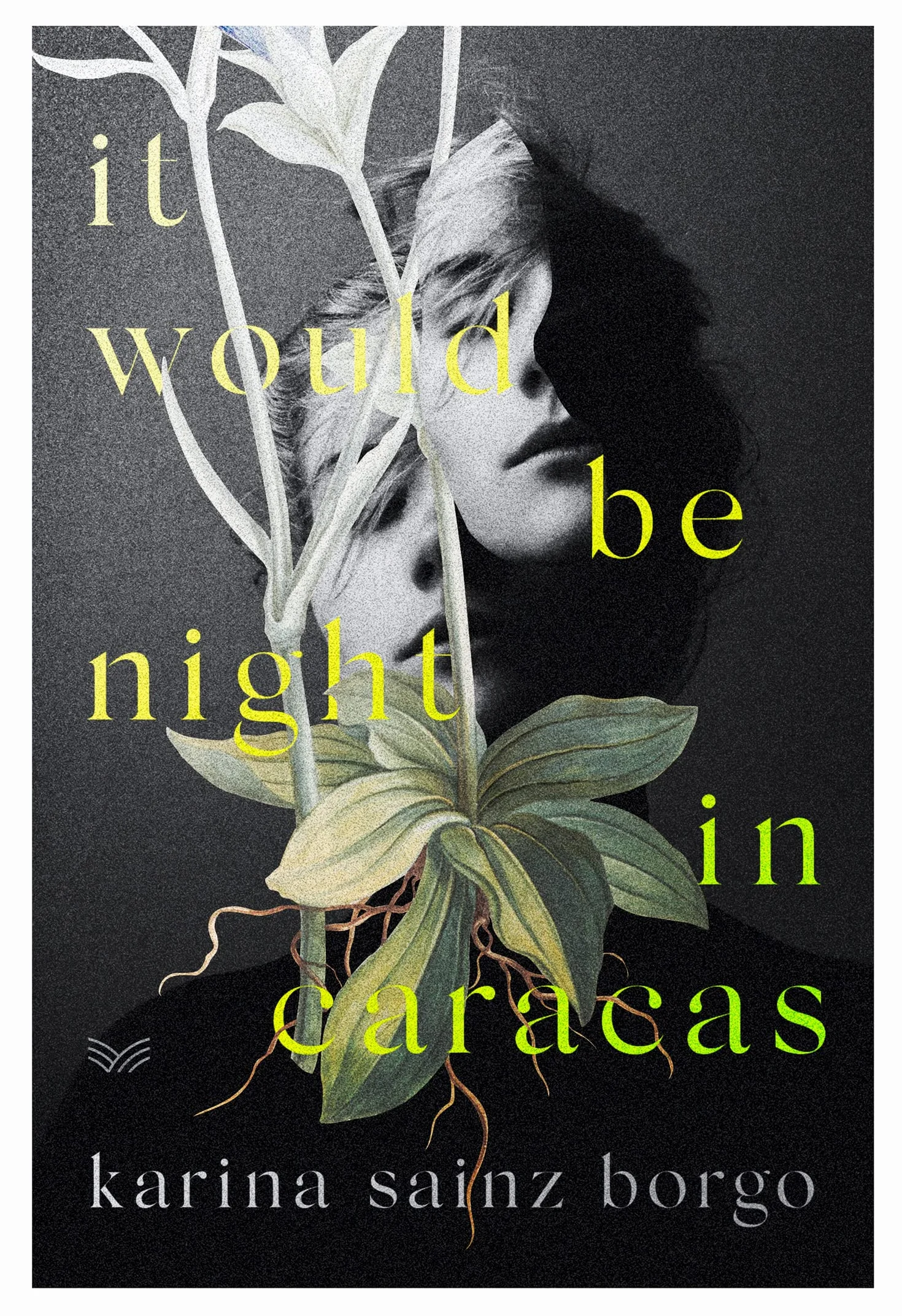 It Would Be Night in Caracas