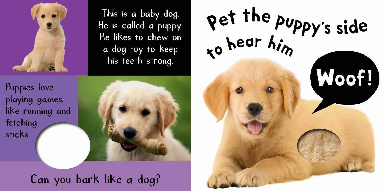 Noisy Baby Animals: Includes Six Sounds!
