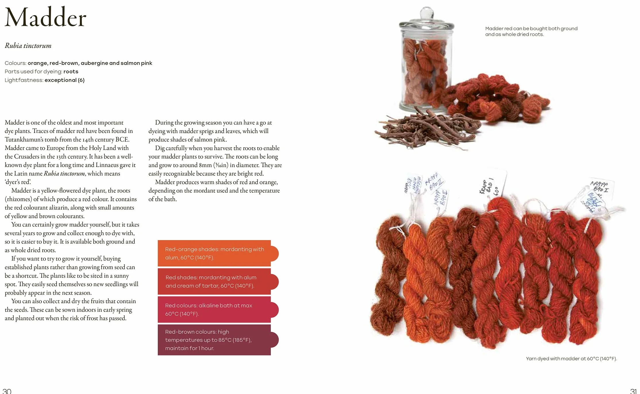 Natural Yarn Dyes: 25 Vibrant and Sustainable Recipes