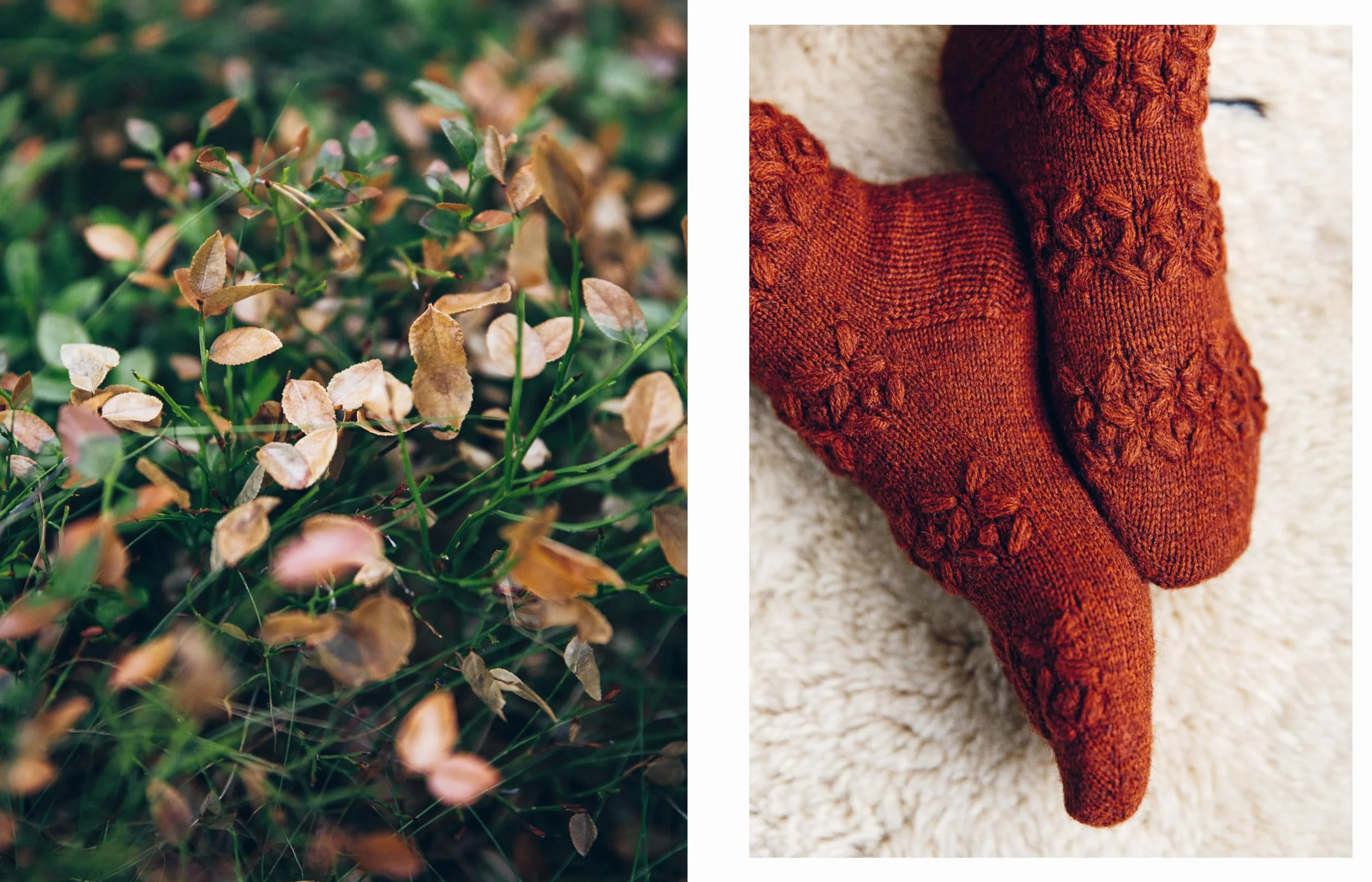52 Weeks of Socks, Vol. II: More Beautiful Patterns for Year-Round Knitting