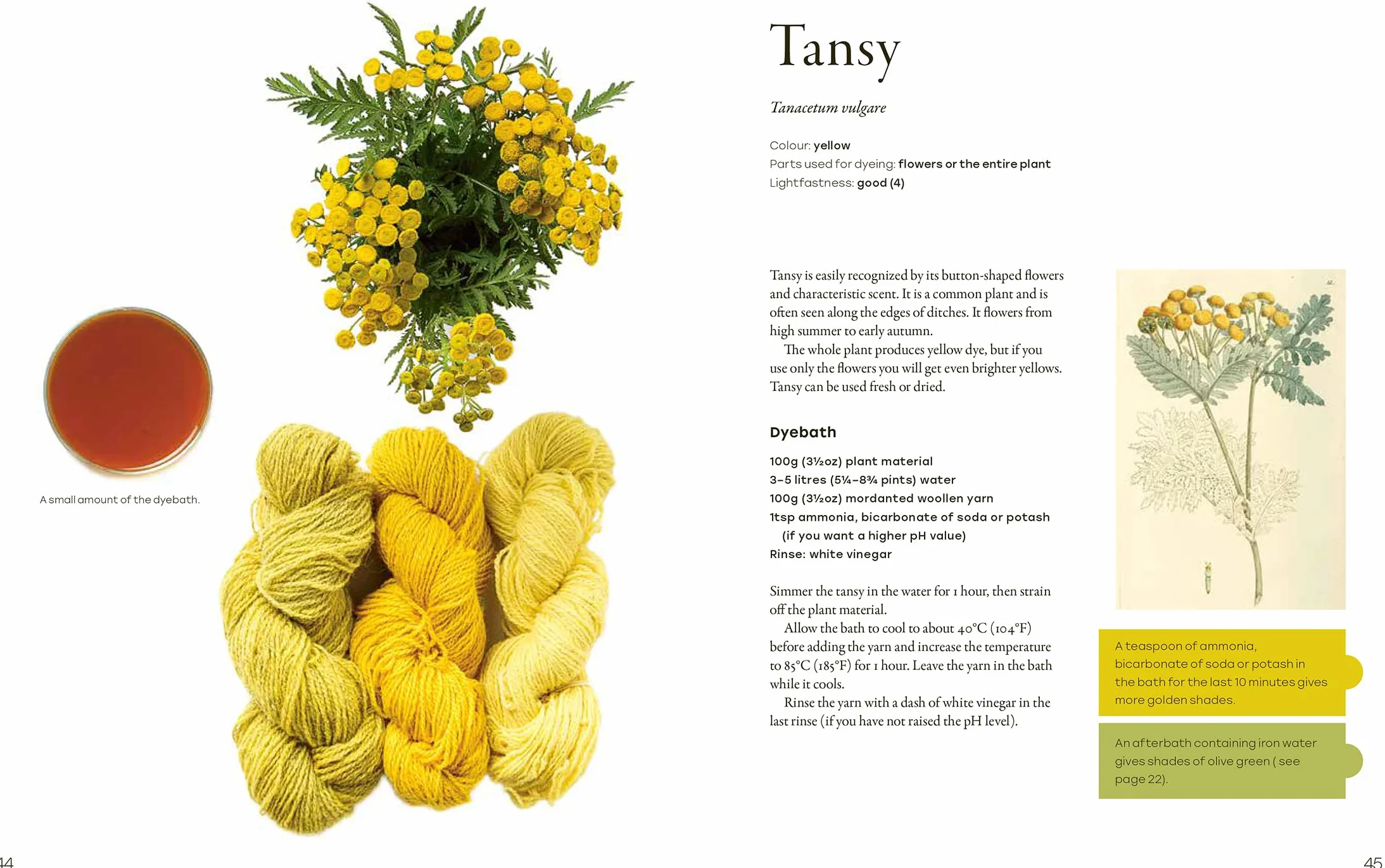Natural Yarn Dyes: 25 Vibrant and Sustainable Recipes
