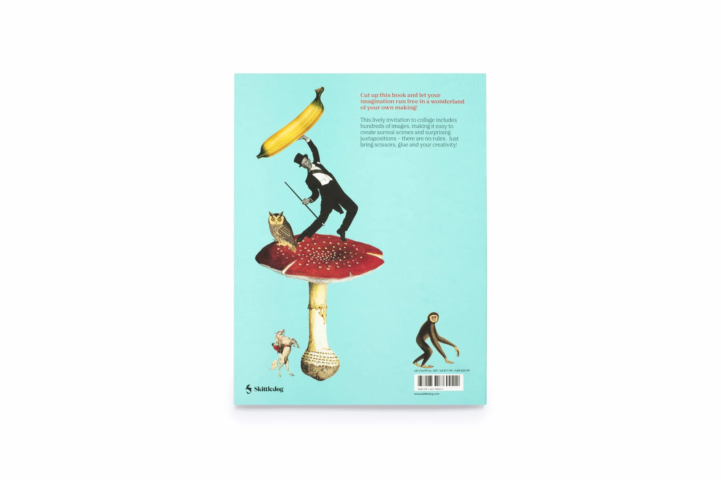 Cut Up This Book and Create Your Own Wonderland /anglais: 1,000 Unexpected Images for Collage Artists