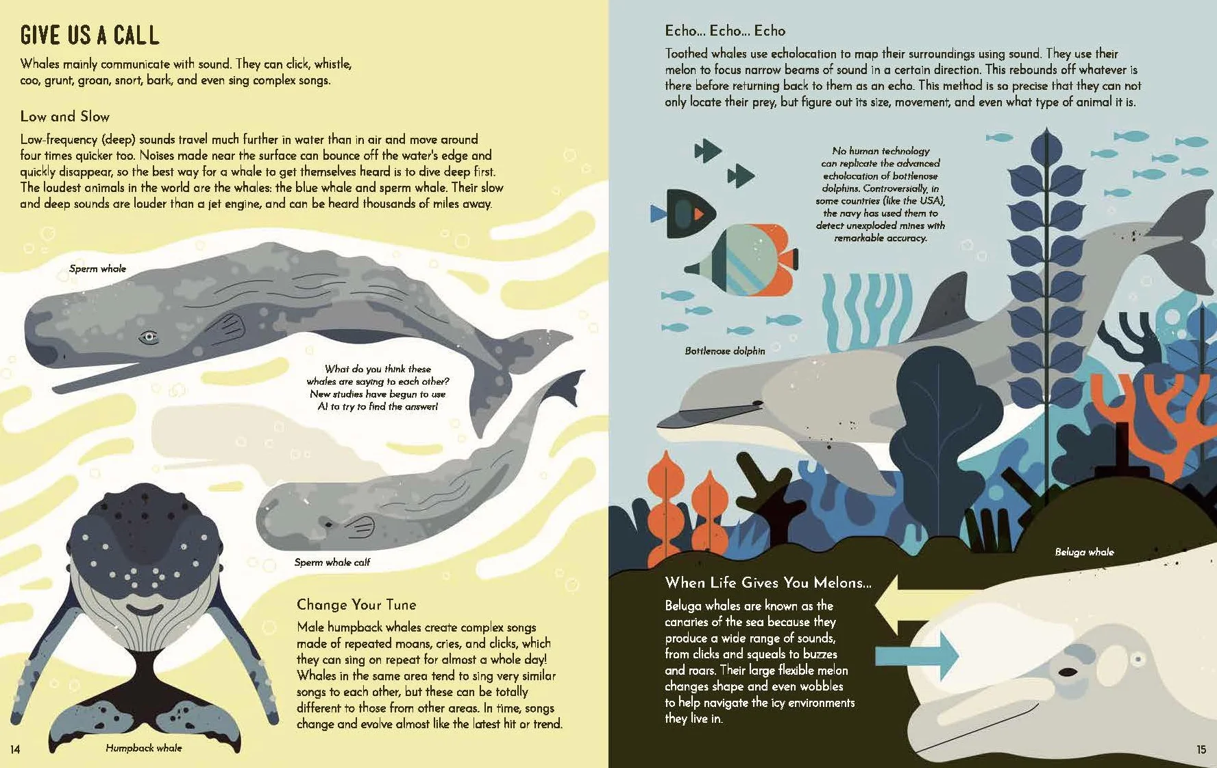 Wild About Whales