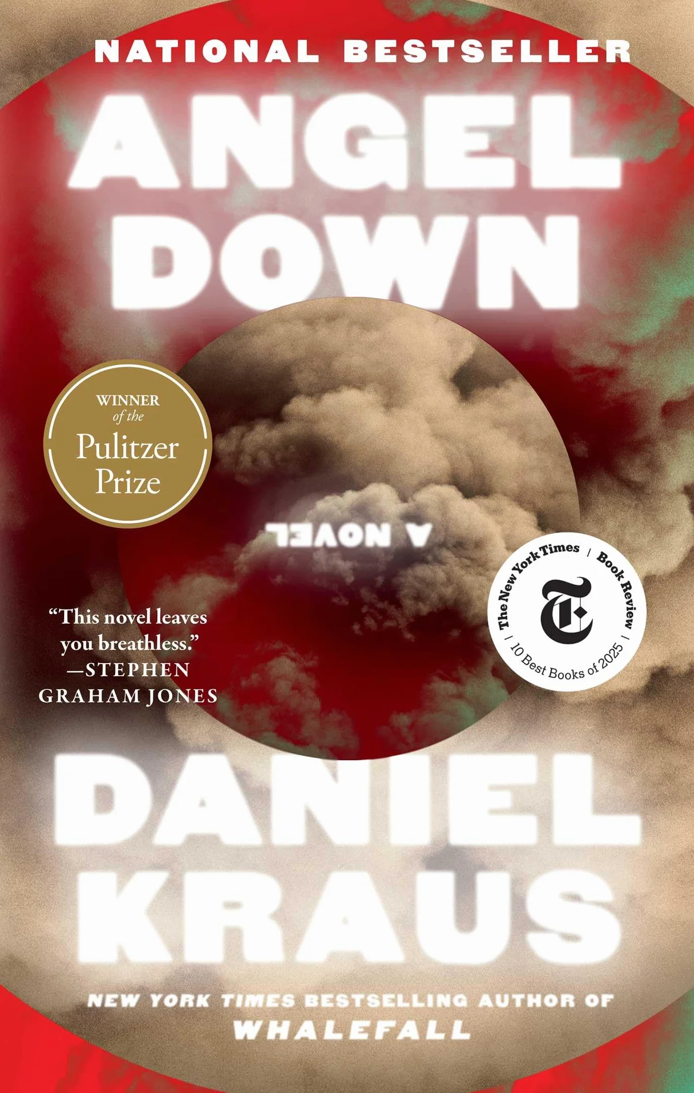 Angel Down (Pulitzer Prize Winner): A Novel