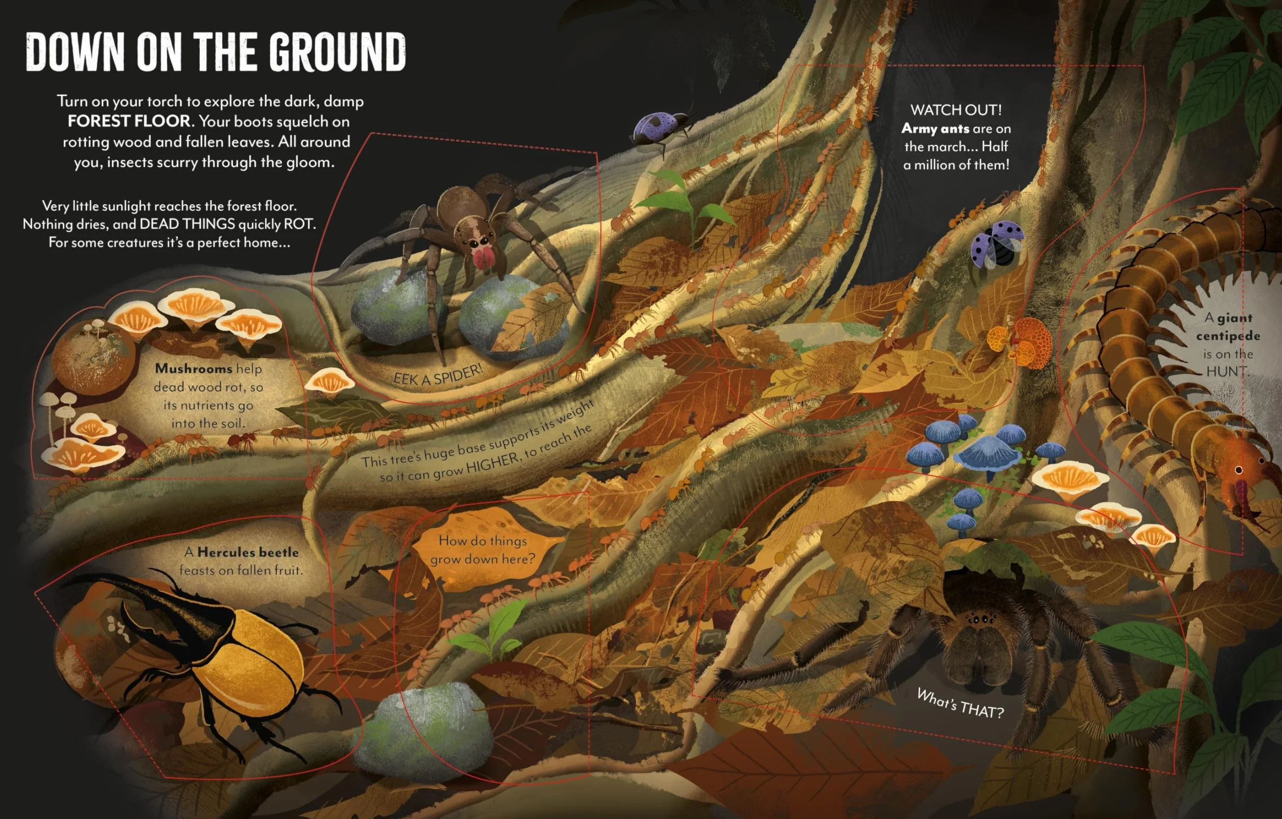 Extreme Planet: Journey Through The Amazon