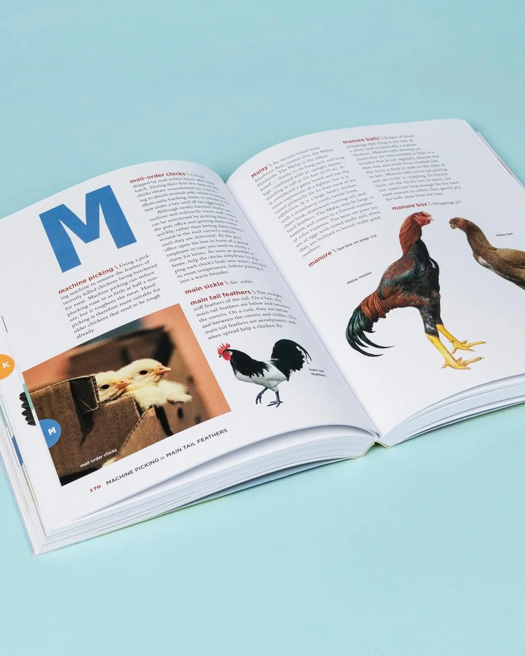 The Chicken Encyclopedia: An Illustrated Reference