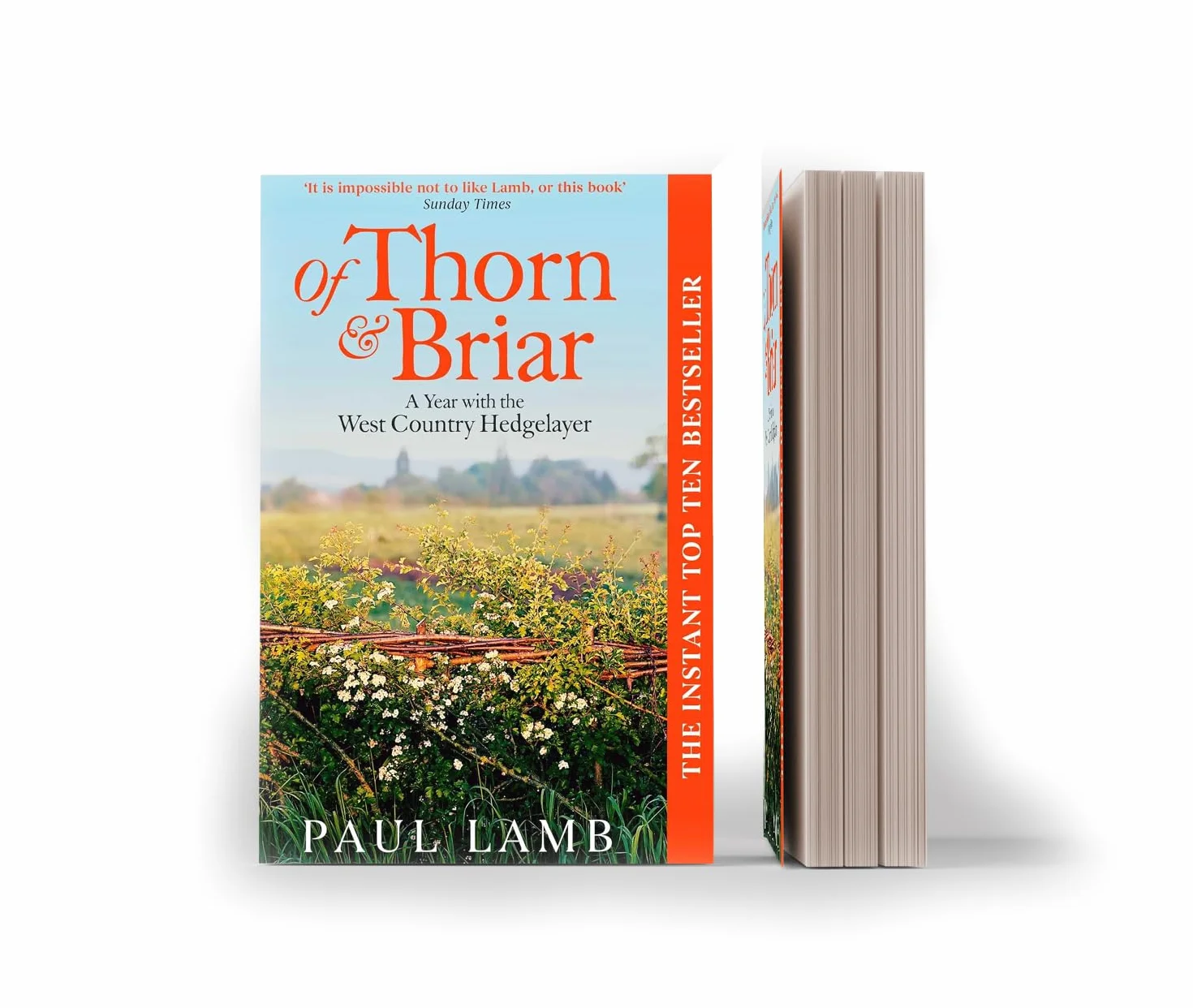 Of Thorn & Briar: A Year with the West Country Hedgelayer