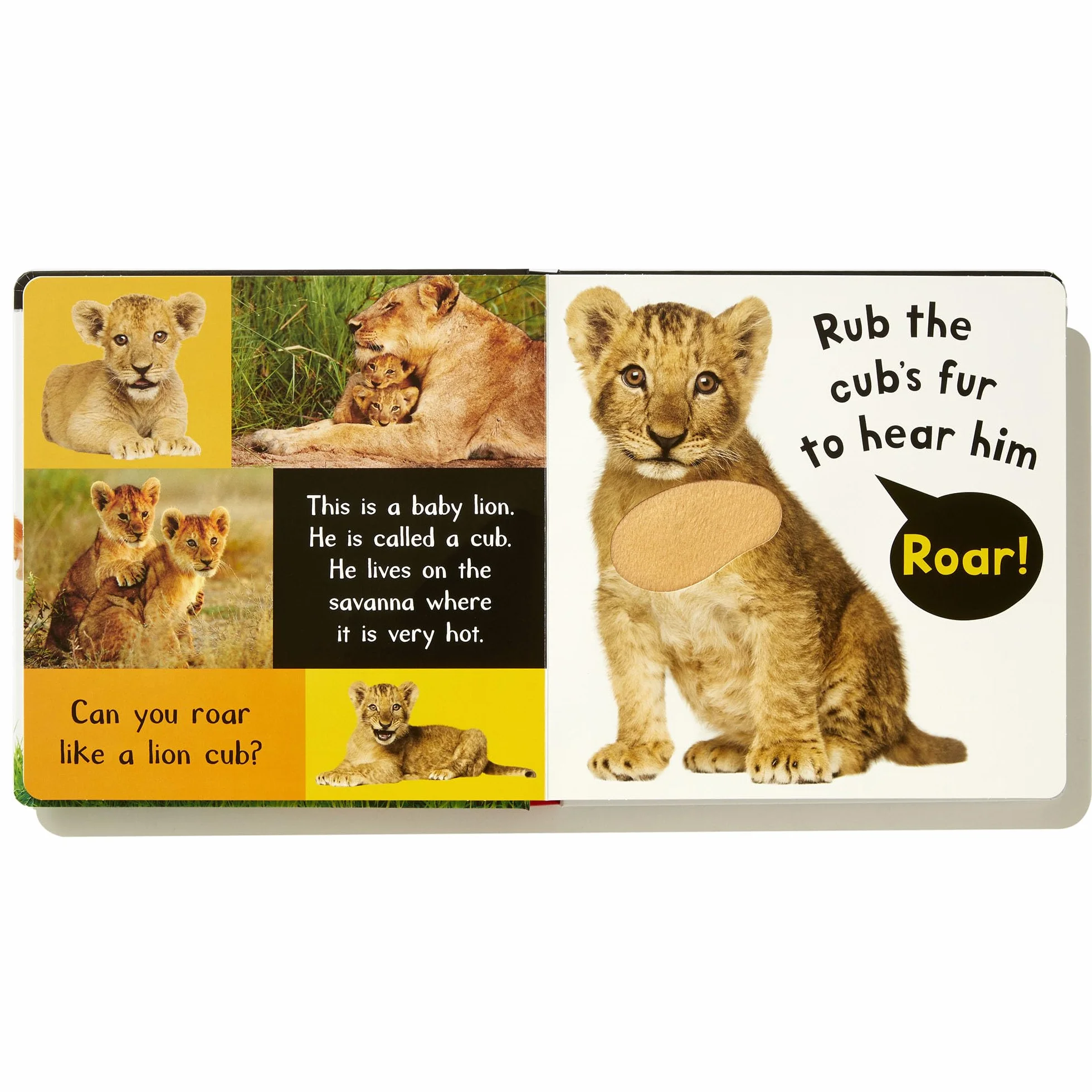 Noisy Baby Animals: Includes Six Sounds!