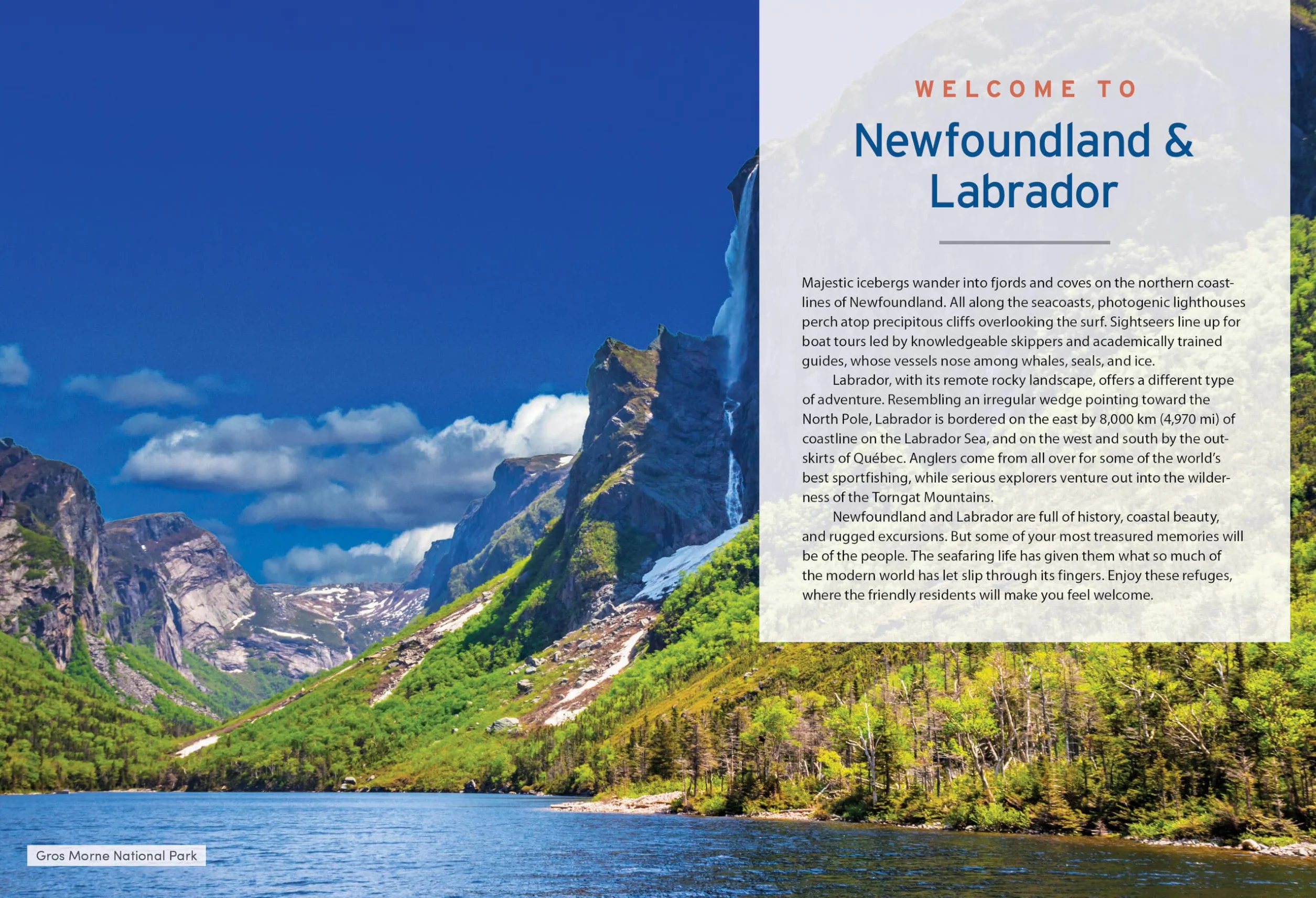 Moon Newfoundland & Labrador: Wildlife-Watching, Iceberg Excursions, Viking Settlements