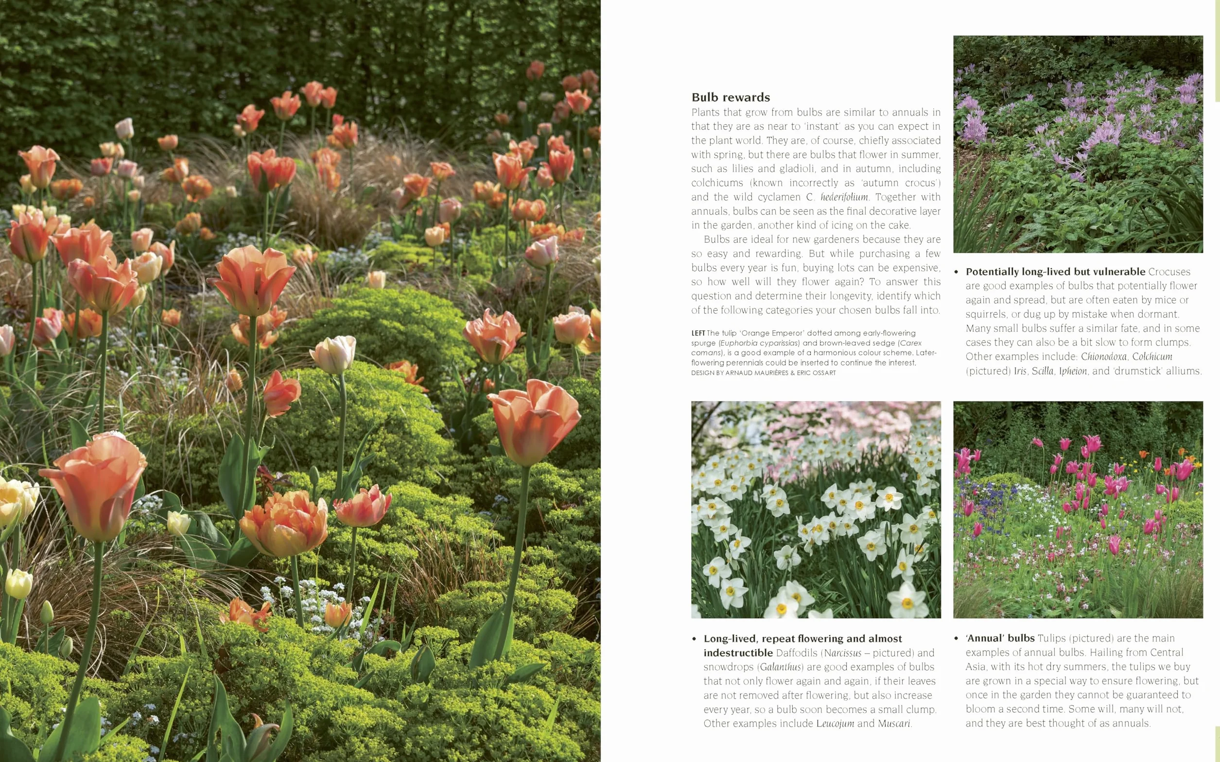 New Small Garden: Contemporary Principles, Planting and Practice