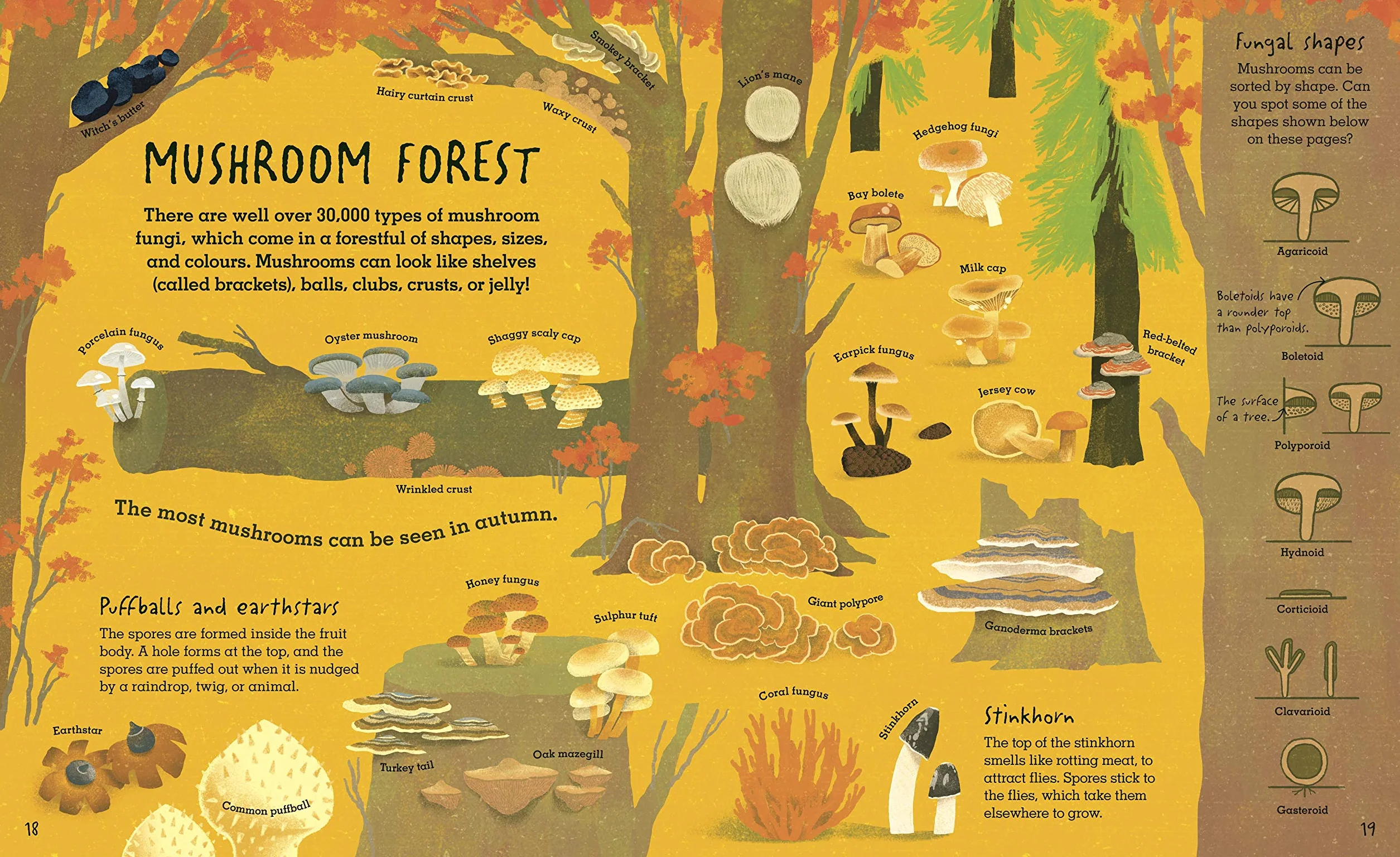 Humongous Fungus (Underground and All Around)