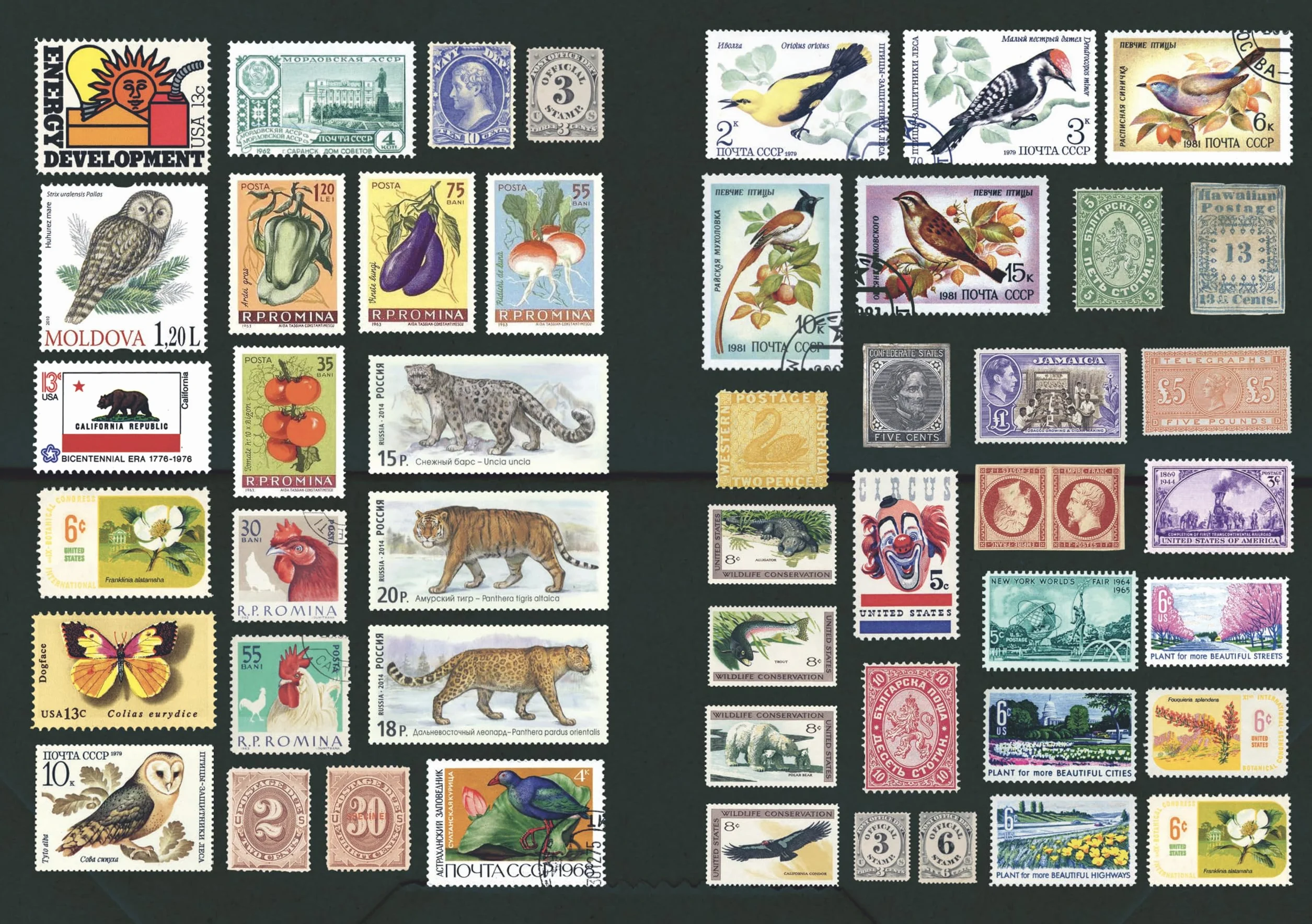 The Curious Collectibles Sticker Book /anglais