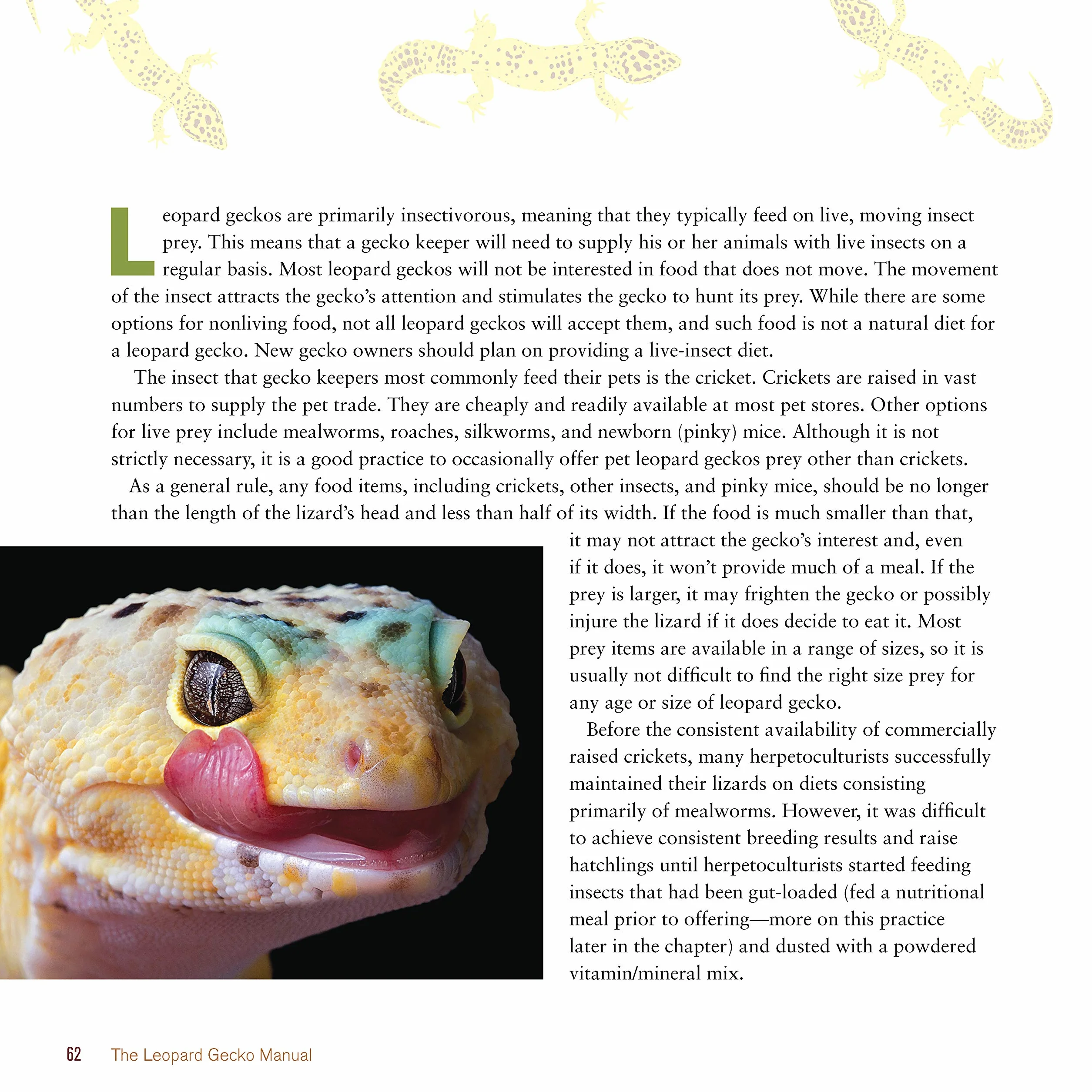 The Leopard Gecko Manual: Expert Advice for Keeping and Caring for a Healthy Leopard Gecko