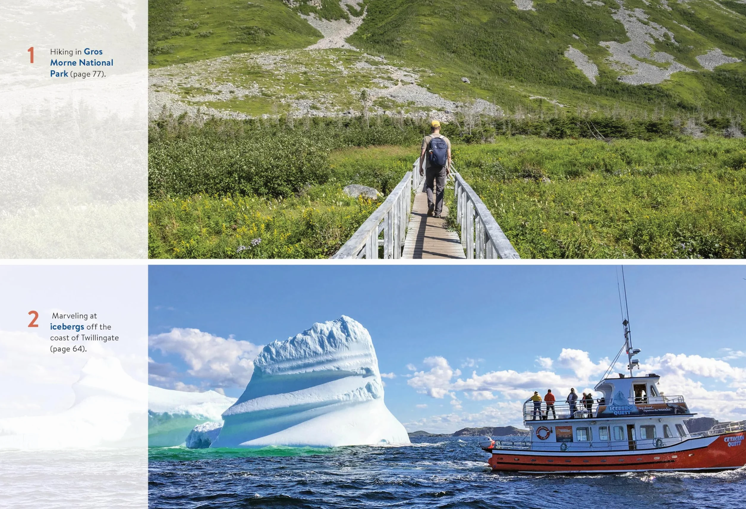 Moon Newfoundland & Labrador: Wildlife-Watching, Iceberg Excursions, Viking Settlements