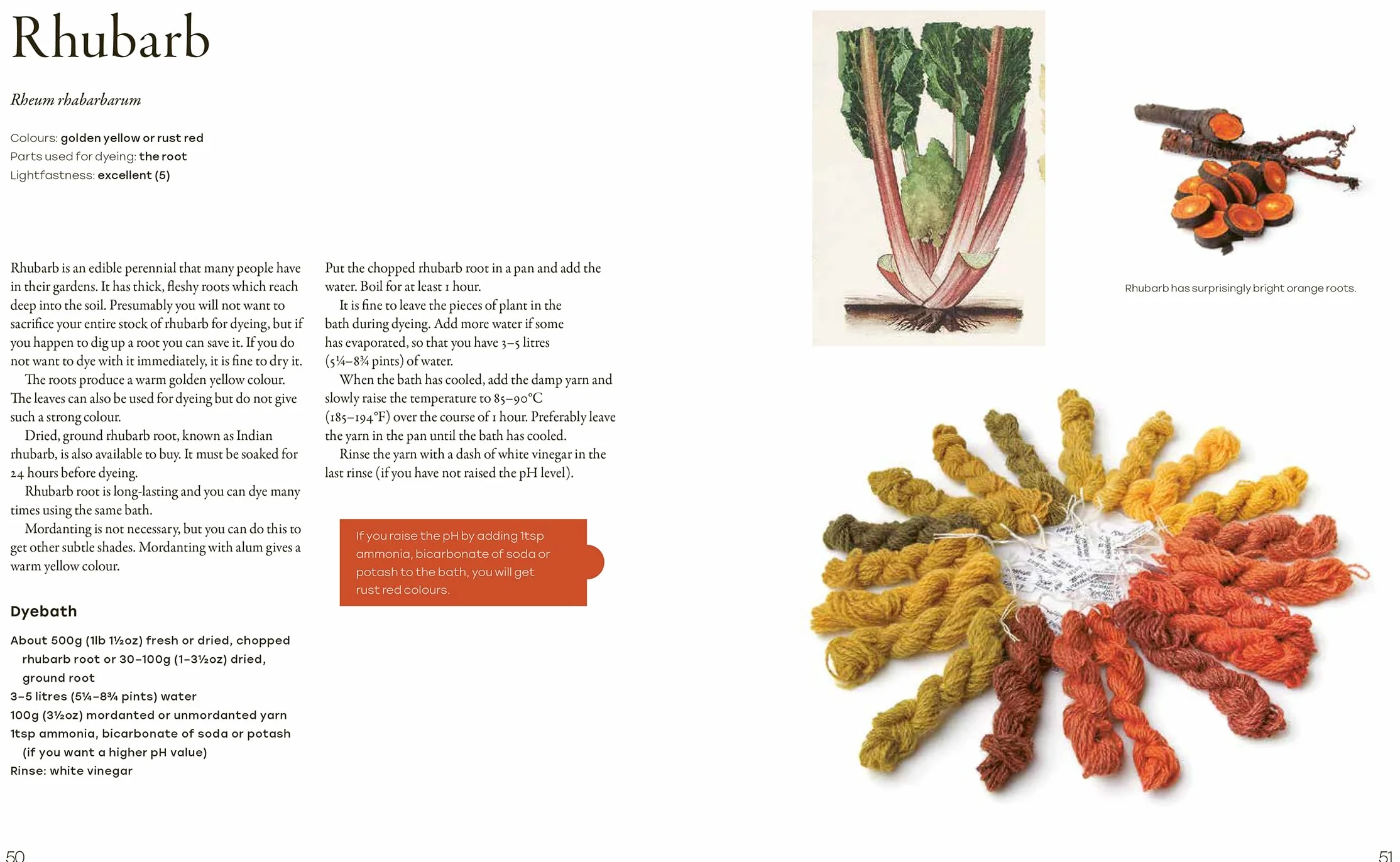 Natural Yarn Dyes: 25 Vibrant and Sustainable Recipes