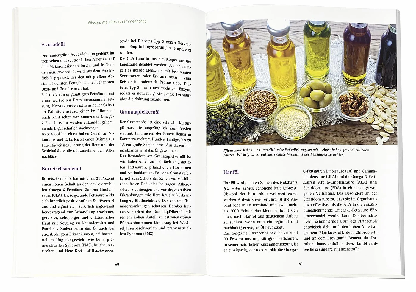Wissen, was stärkt: Mit gesunden Fettsäuren die Selbstheilungskräfte bei Entzündungen aktivieren und das Immunsystem kräftigen | Mit 50 Budwig-Rezepten