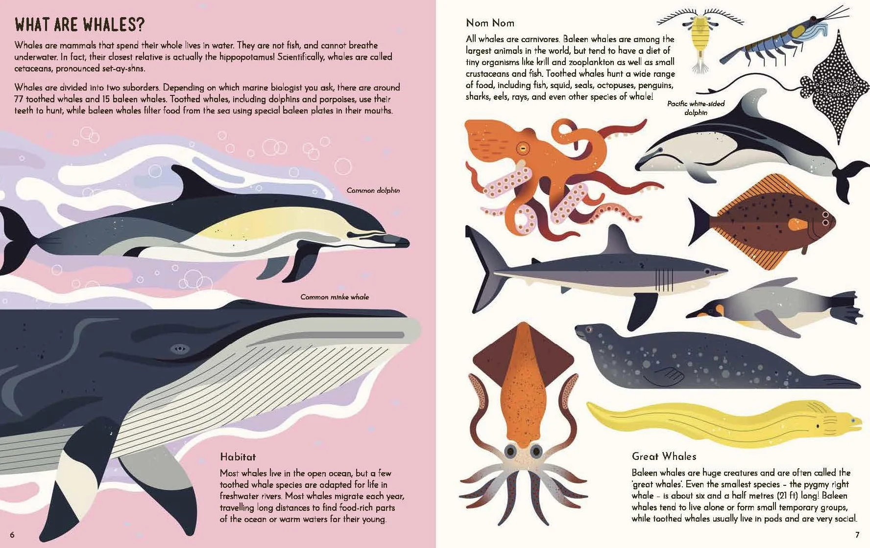 Wild About Whales