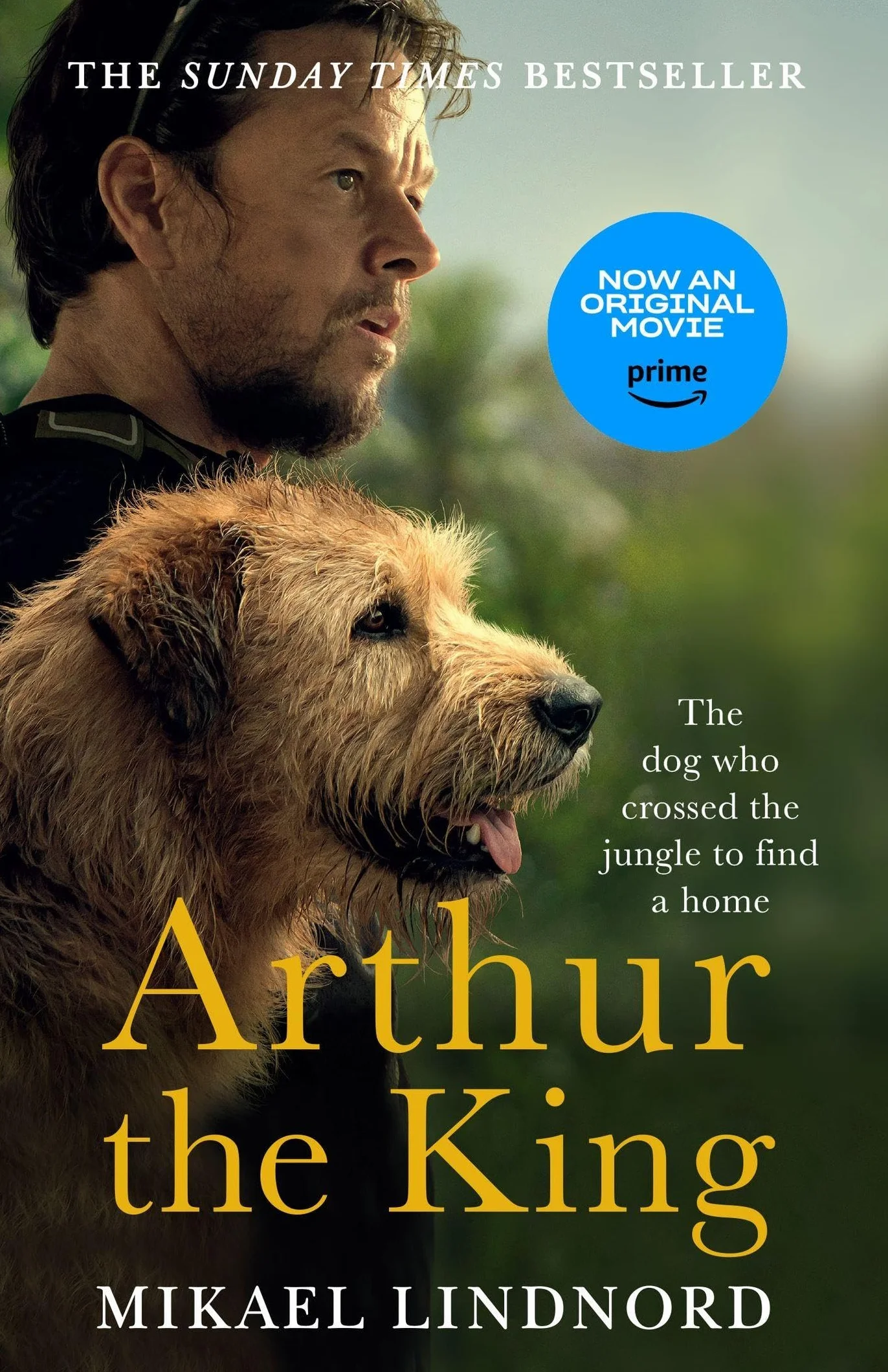Arthur the King: The Dog Who Crossed the Jungle to Find a Home