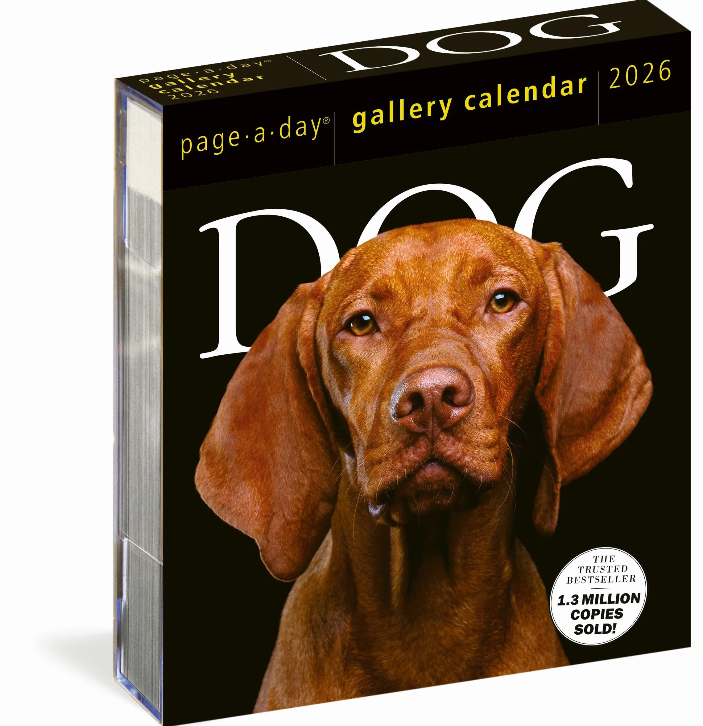 Dog Page-A-Day® Gallery Calendar 2026: An Elegant Canine Celebration