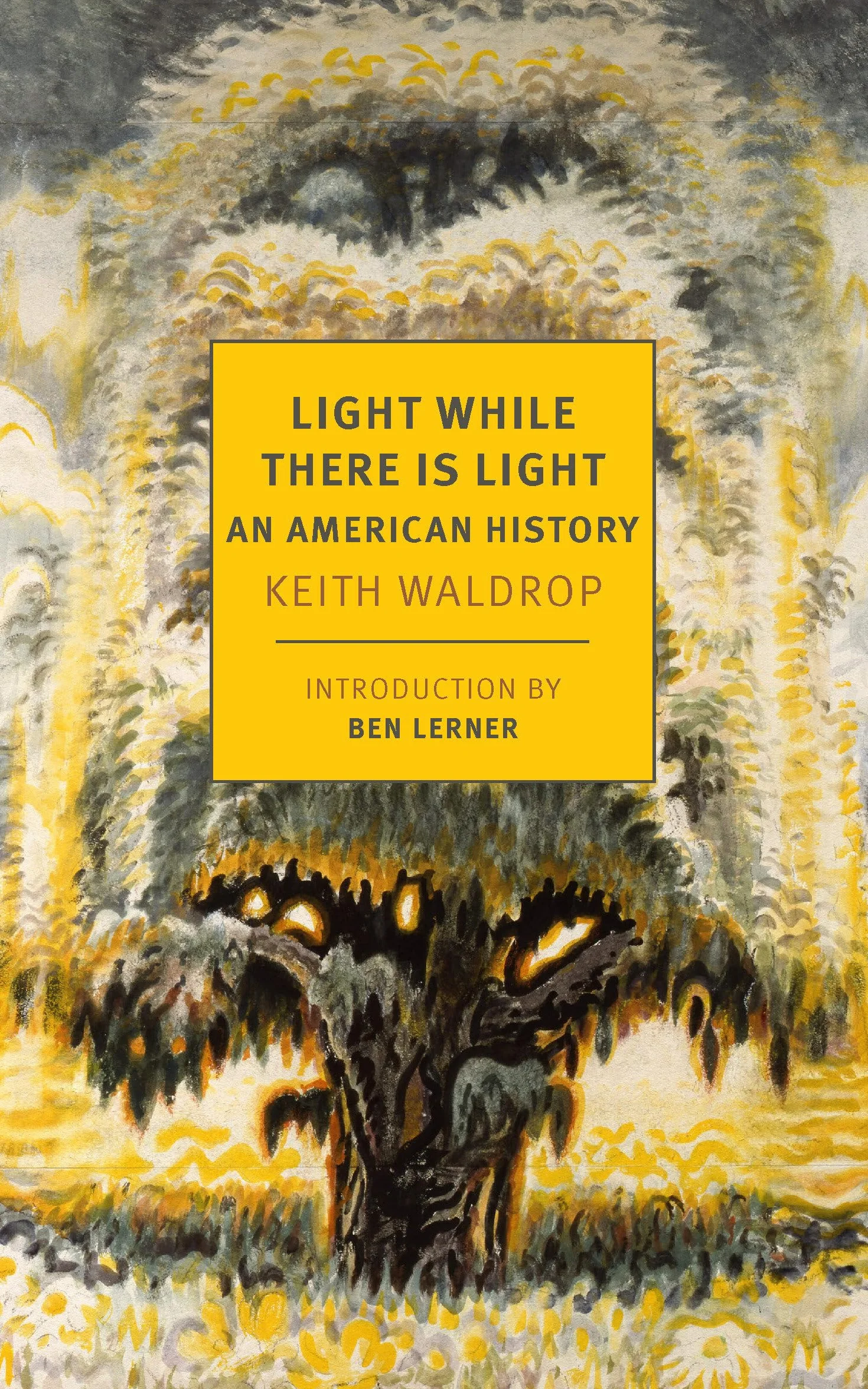 Light While There Is Light: An American History