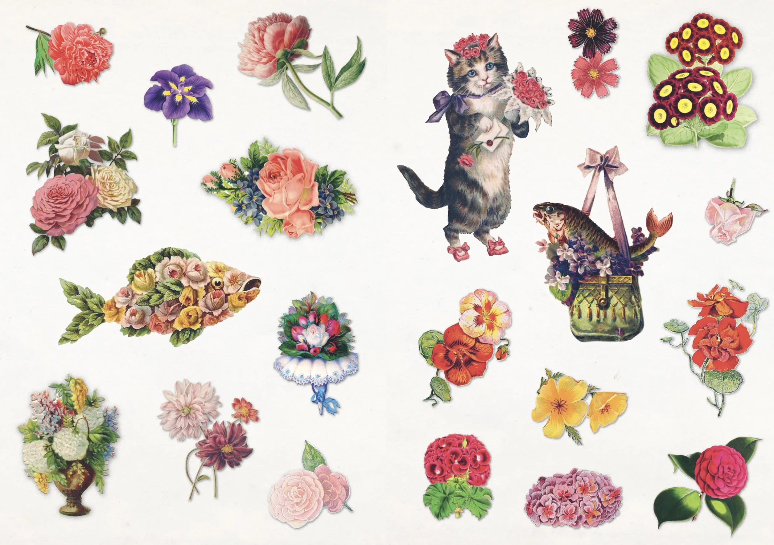 The Curious Collectibles Sticker Book /anglais