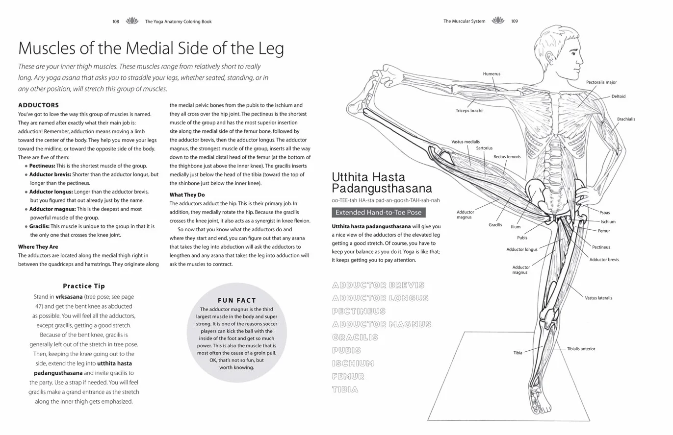 Yoga Anatomy Coloring Book: A Visual Guide to Form, Function, and Movement - An Educational Anatomy Coloring Book for Medical Students, Yoga Teachers, & Adults (Volume 1)