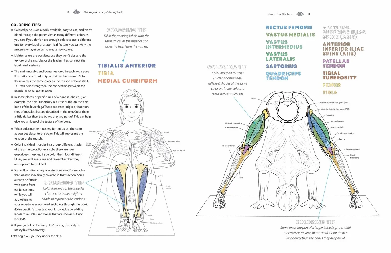 Yoga Anatomy Coloring Book: A Visual Guide to Form, Function, and Movement - An Educational Anatomy Coloring Book for Medical Students, Yoga Teachers, & Adults (Volume 1)