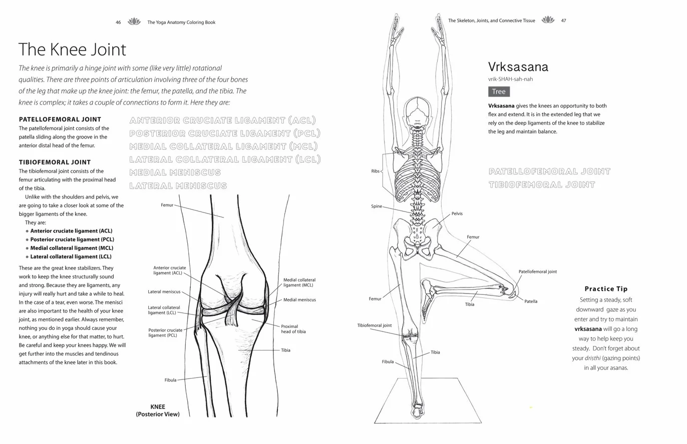 Yoga Anatomy Coloring Book: A Visual Guide to Form, Function, and Movement - An Educational Anatomy Coloring Book for Medical Students, Yoga Teachers, & Adults (Volume 1)