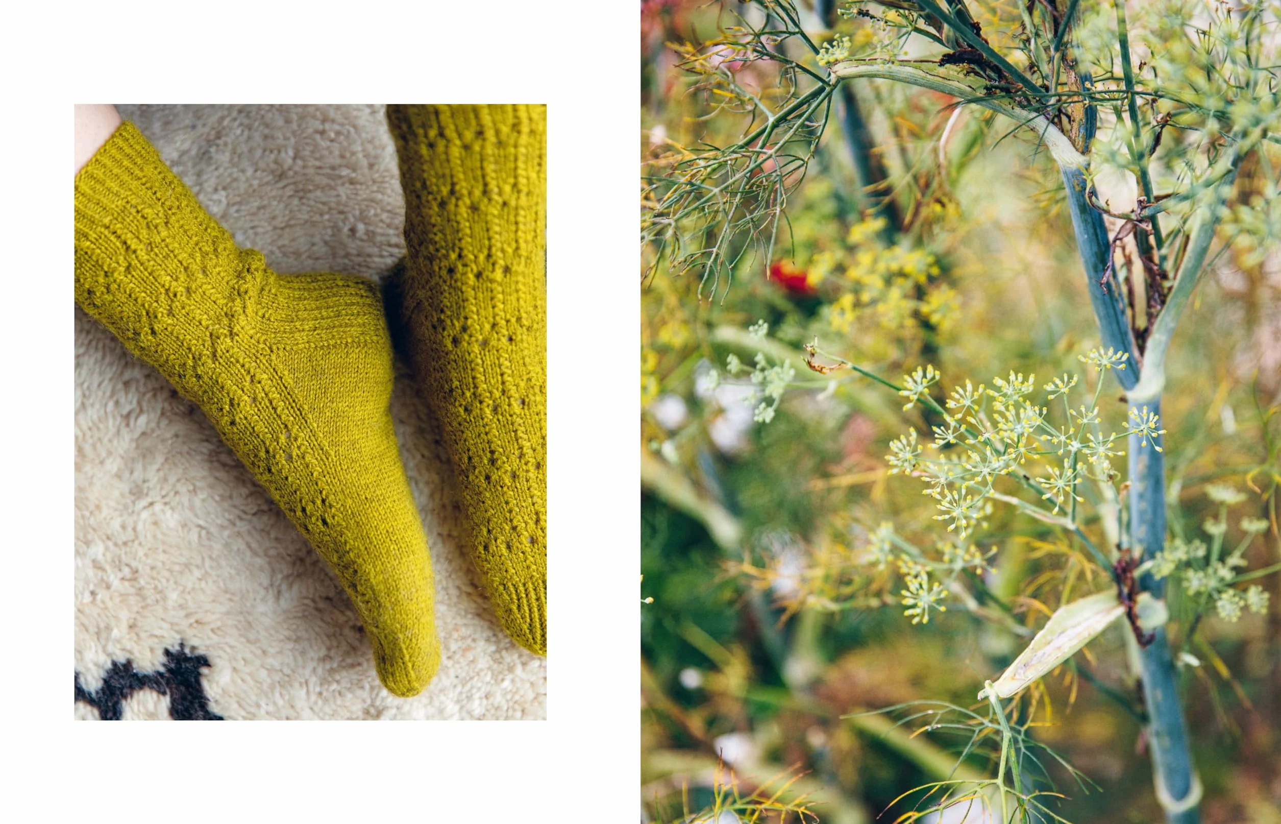 52 Weeks of Socks, Vol. II: More Beautiful Patterns for Year-Round Knitting