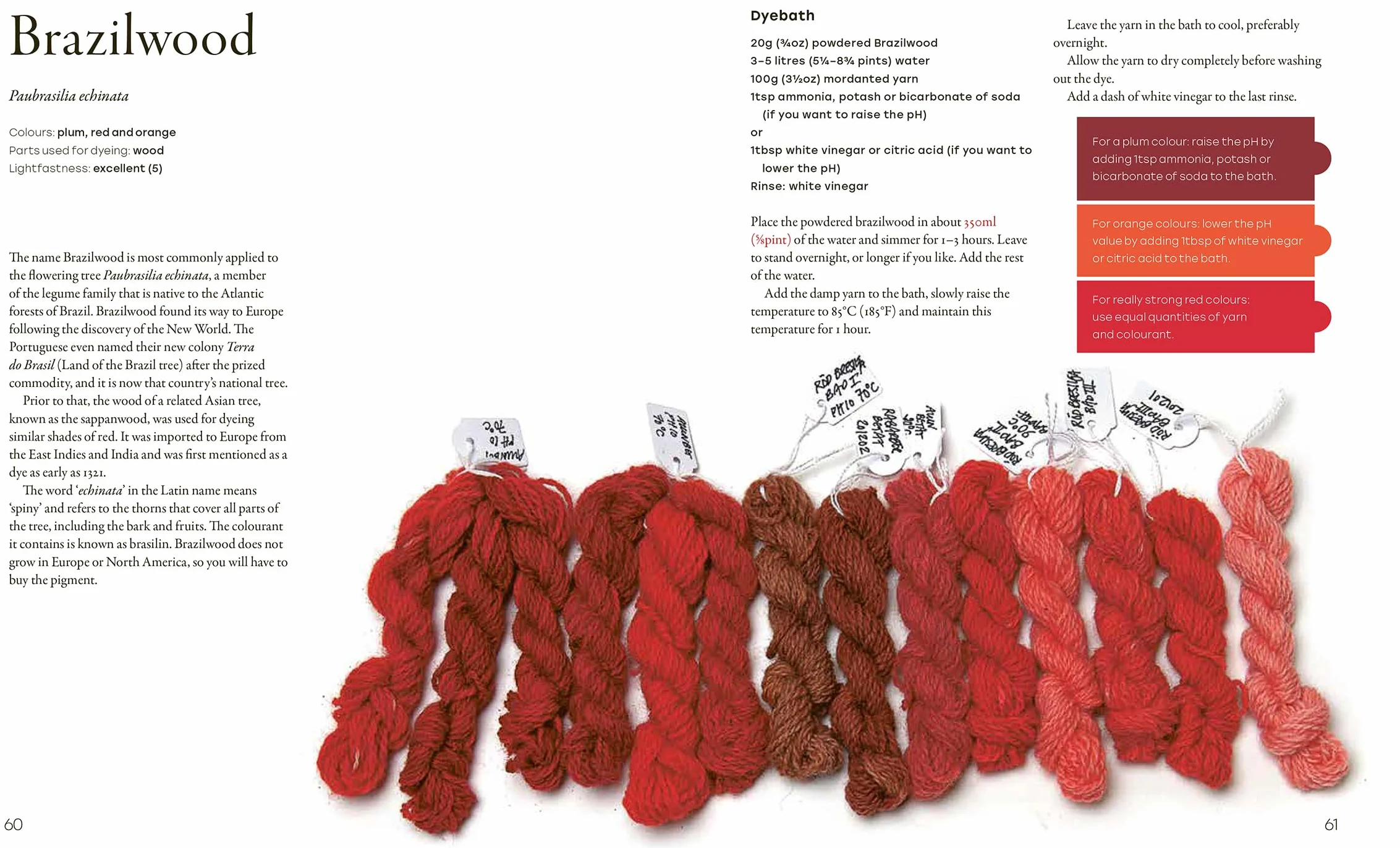 Natural Yarn Dyes: 25 Vibrant and Sustainable Recipes