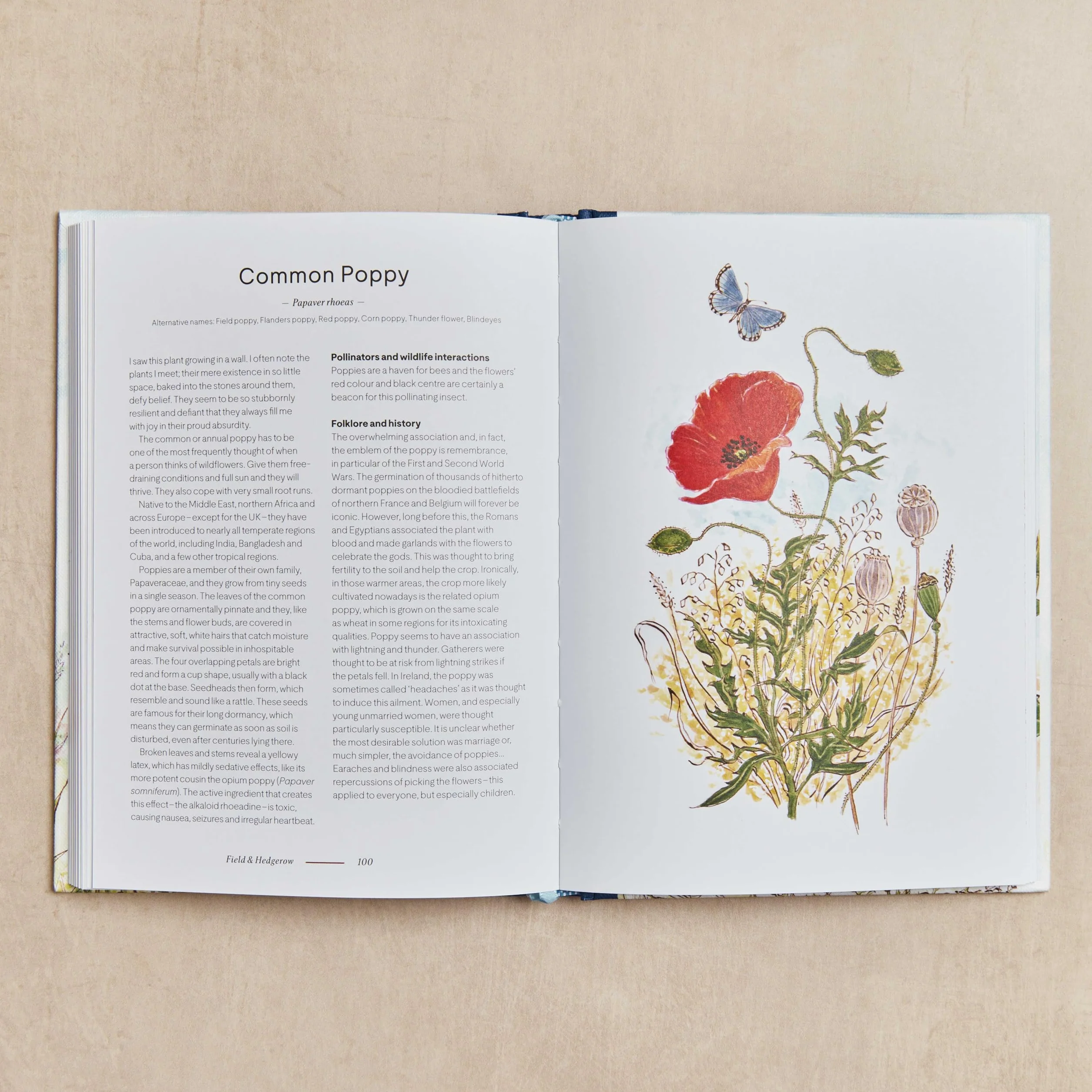 A Wildflower Year: A Guide to Wildflowers, Their Habitats & Histories