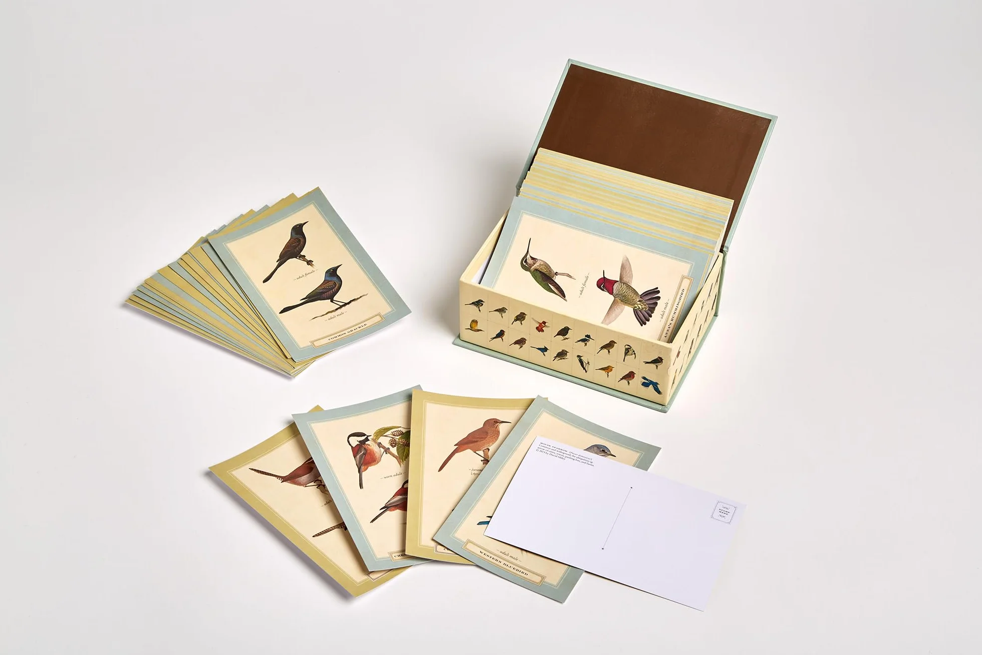 Sibley Backyard Birding Postcards: 100 Postcards