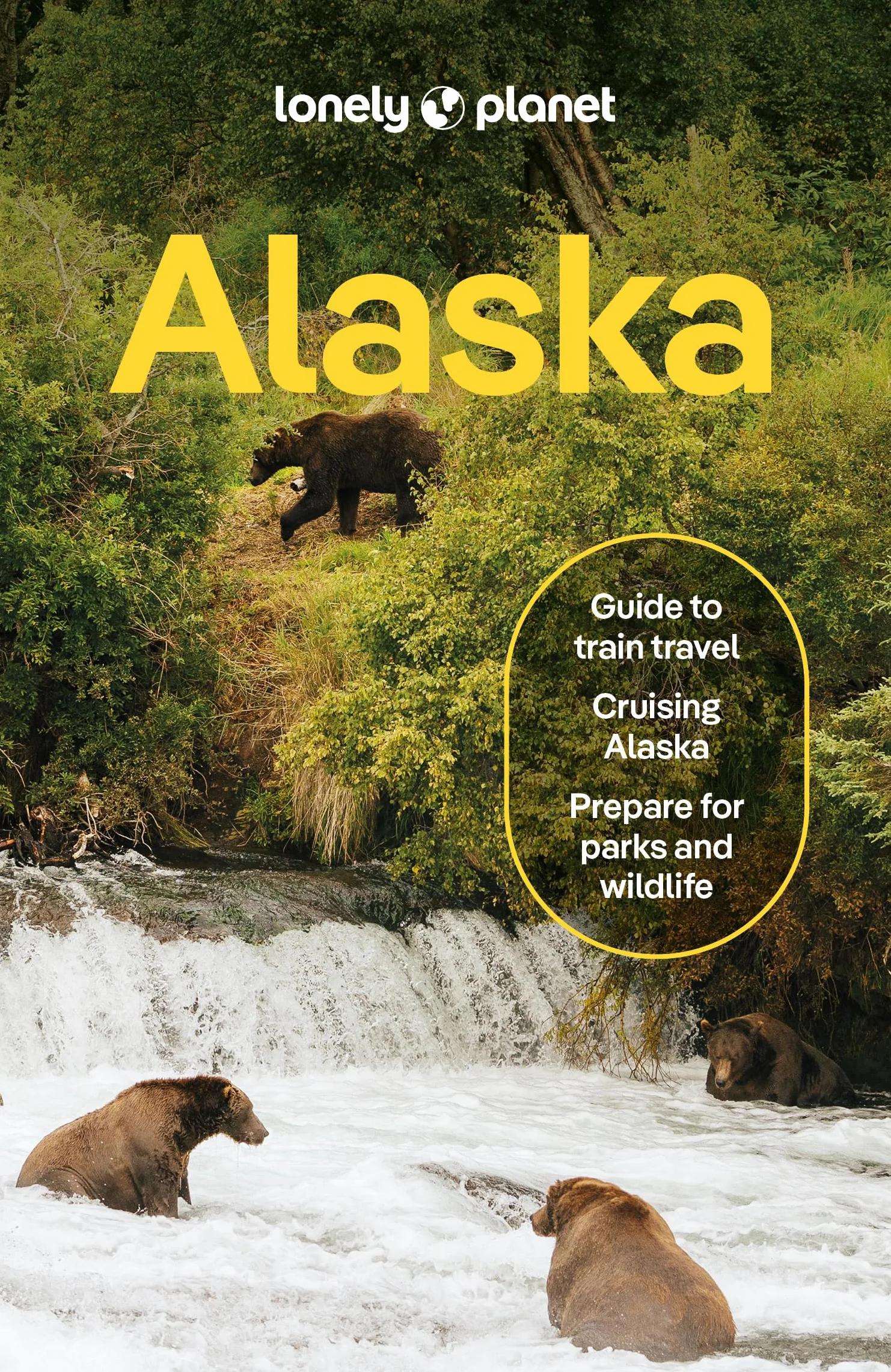 Alaska 15ed -anglais-: Plan the Trip of a Lifetime | Detailed Itineraries & Maps | Insider Tips | Covers Juneau & the Alexander Archipelago, Anchorage and more