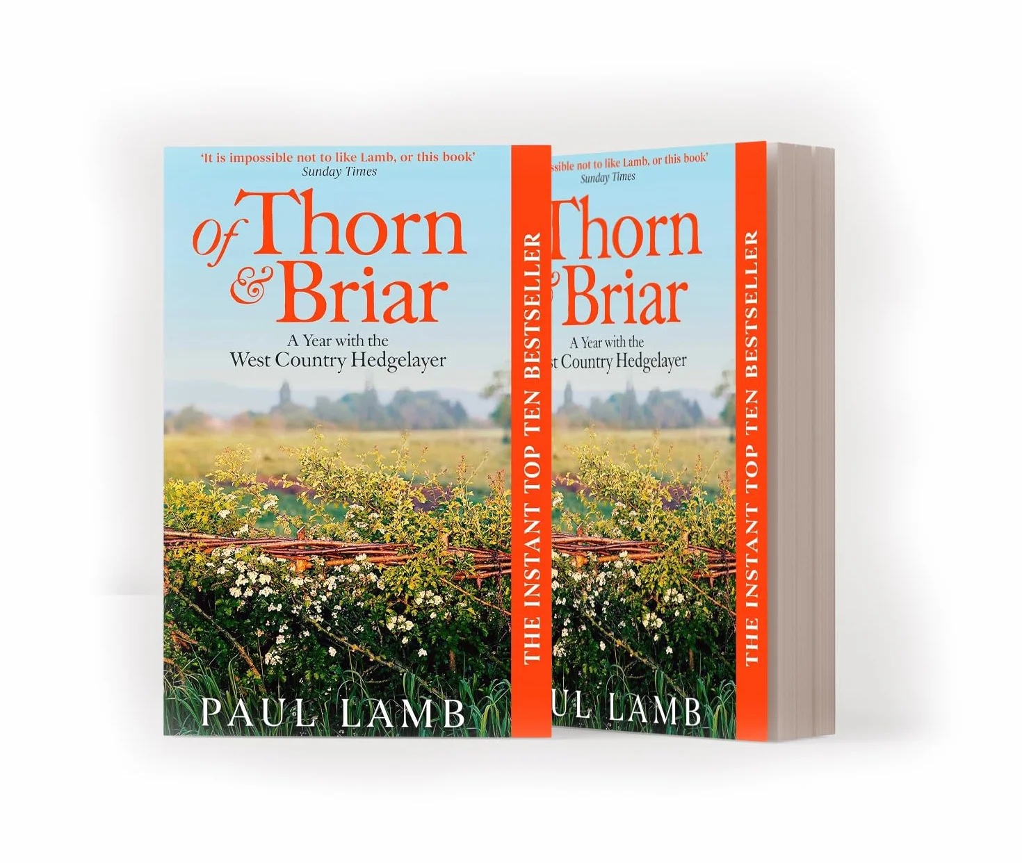 Of Thorn & Briar: A Year with the West Country Hedgelayer