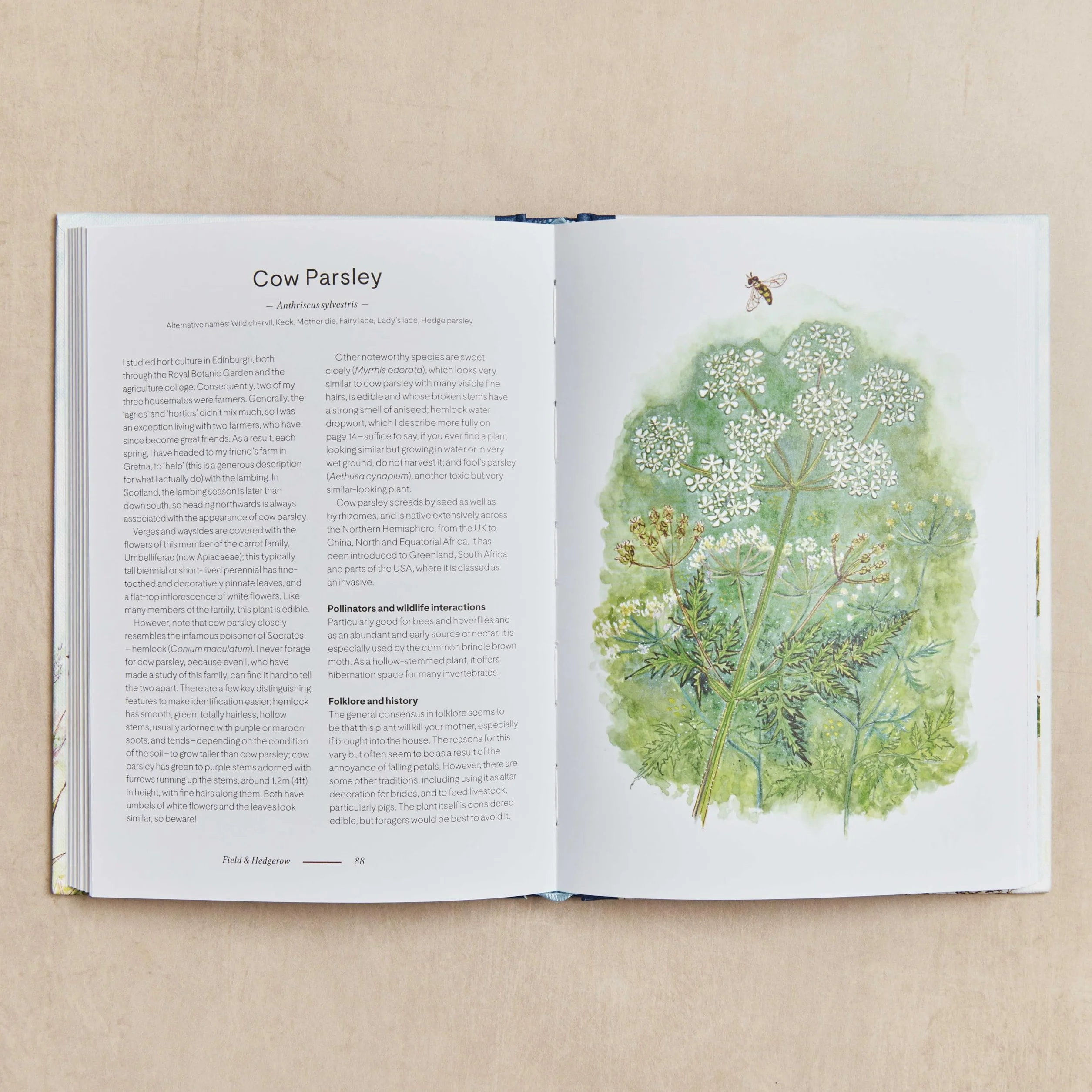 A Wildflower Year: A Guide to Wildflowers, Their Habitats & Histories