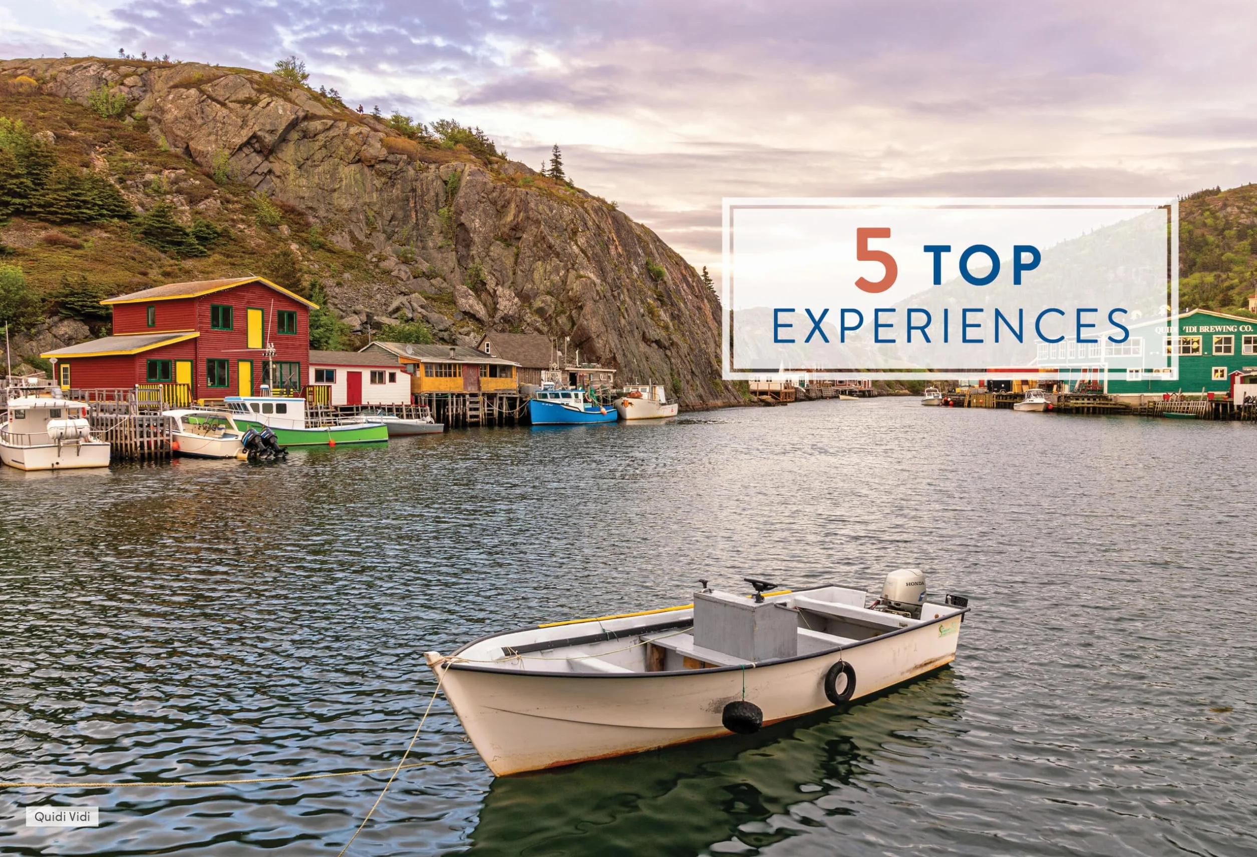 Moon Newfoundland & Labrador: Wildlife-Watching, Iceberg Excursions, Viking Settlements