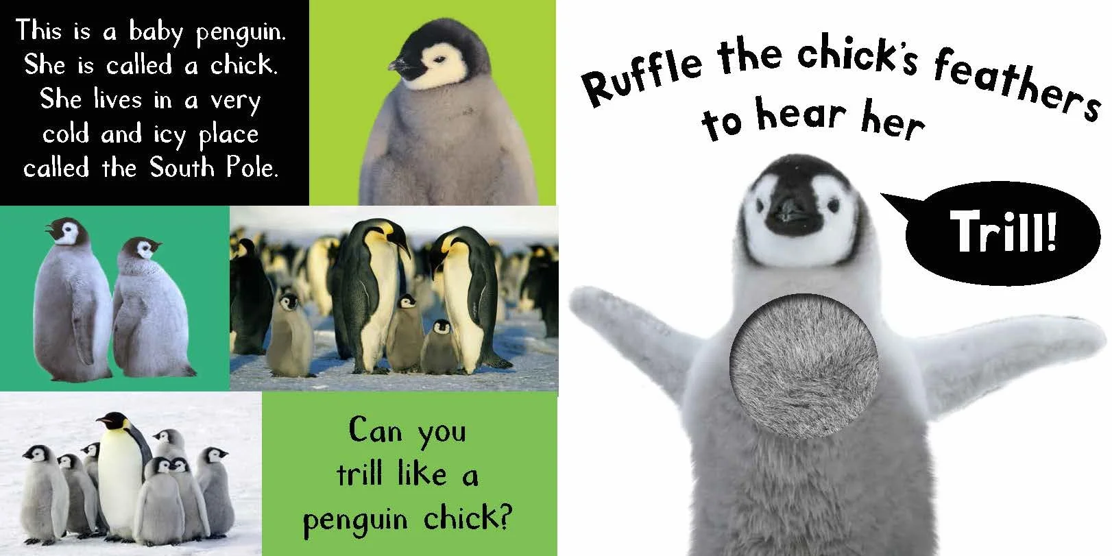 Noisy Baby Animals: Includes Six Sounds!