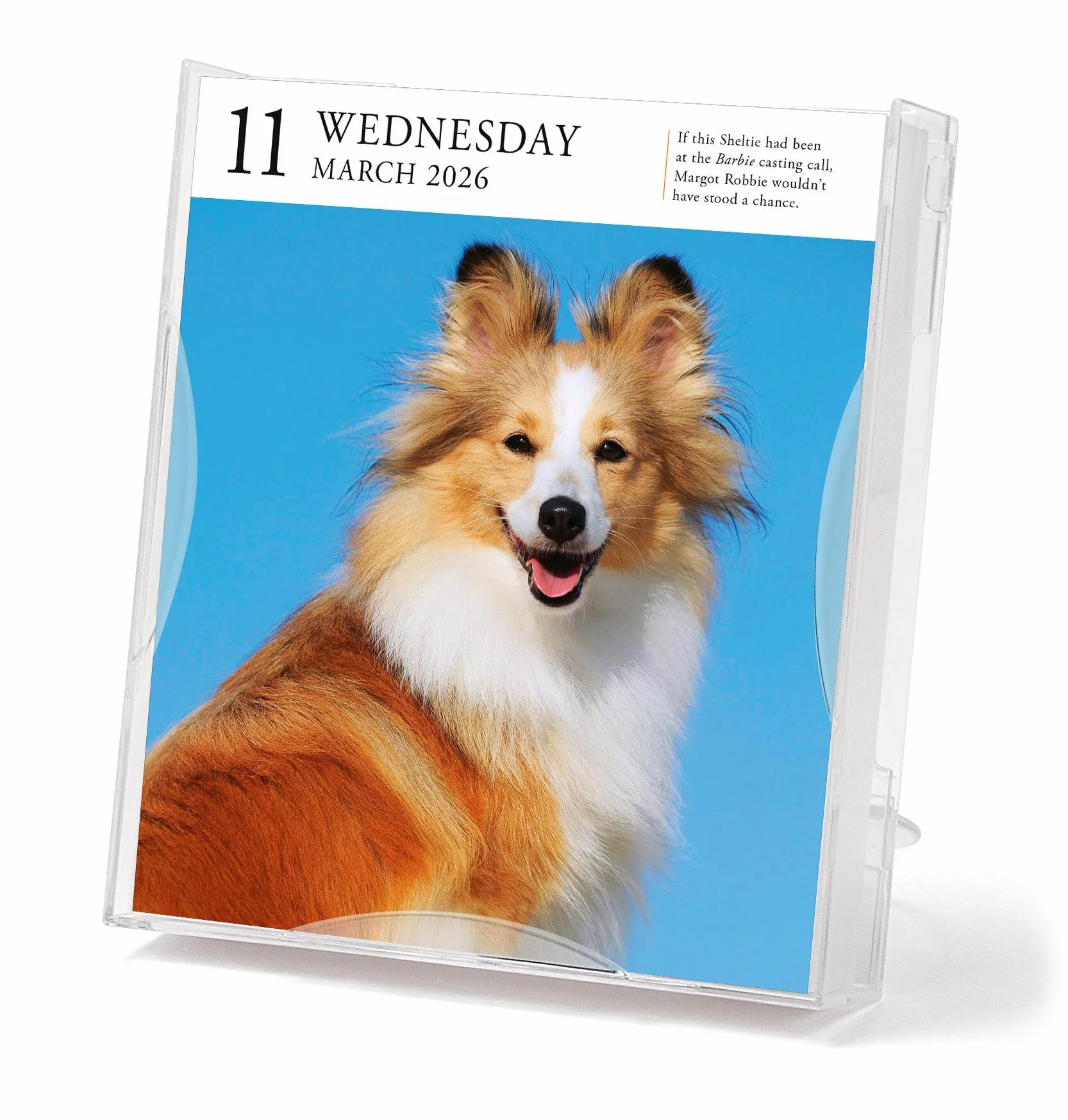 Dog Page-A-Day® Gallery Calendar 2026: An Elegant Canine Celebration