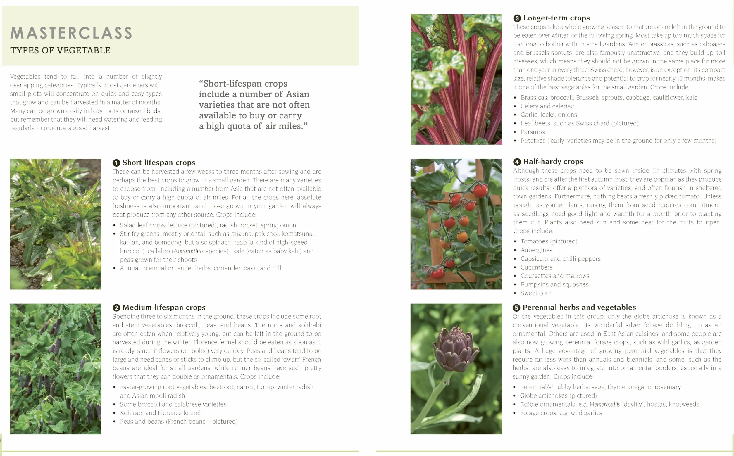 New Small Garden: Contemporary Principles, Planting and Practice
