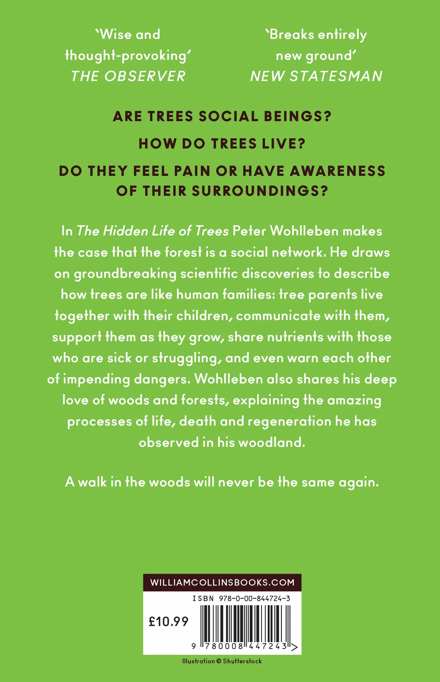How Trees Can Save the World: Peter Wohlleben