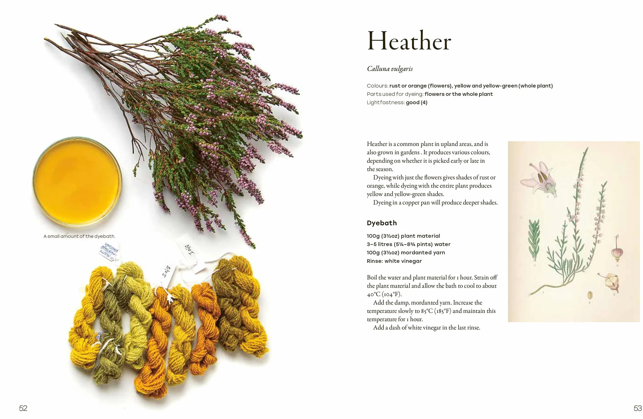 Natural Yarn Dyes: 25 Vibrant and Sustainable Recipes