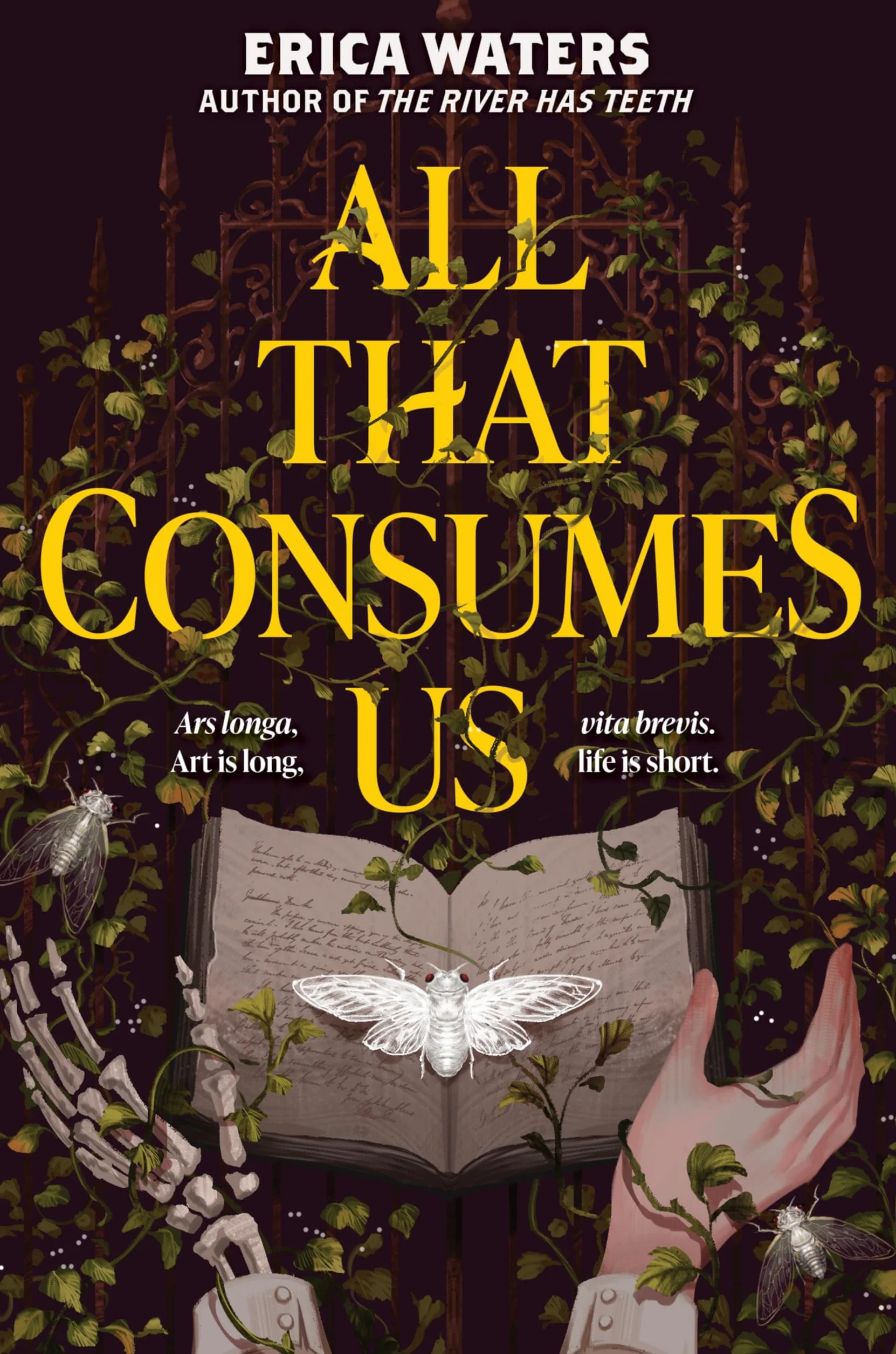 All That Consumes Us
