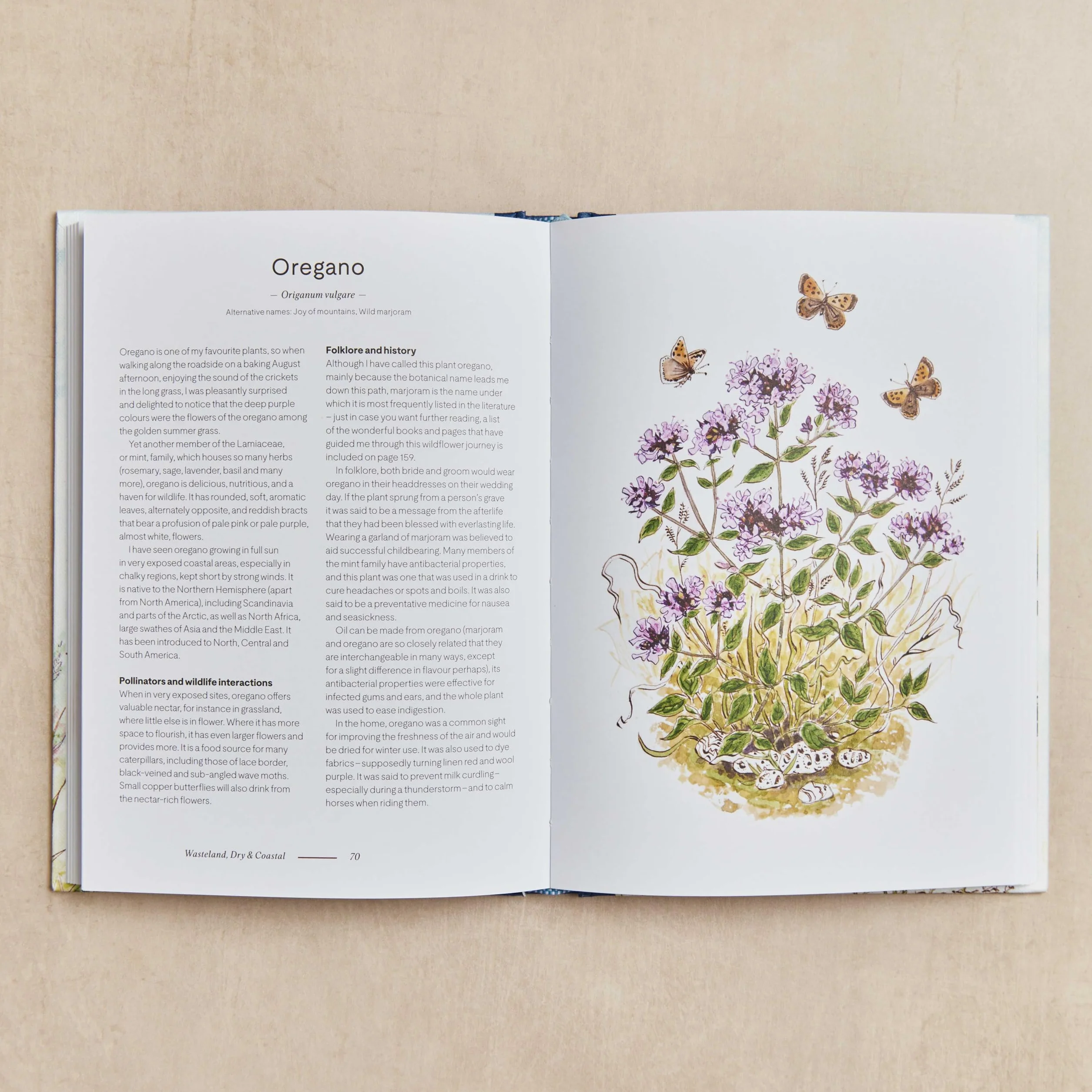 A Wildflower Year: A Guide to Wildflowers, Their Habitats & Histories