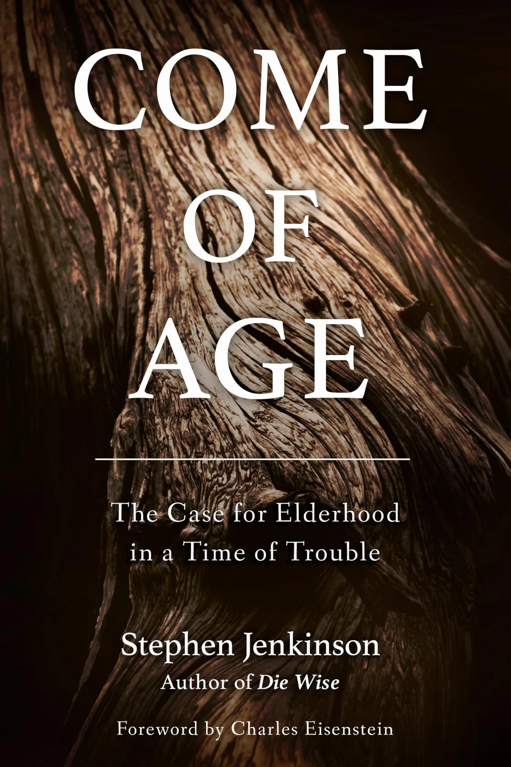 Come of Age: The Case for Elderhood in a Time of Trouble