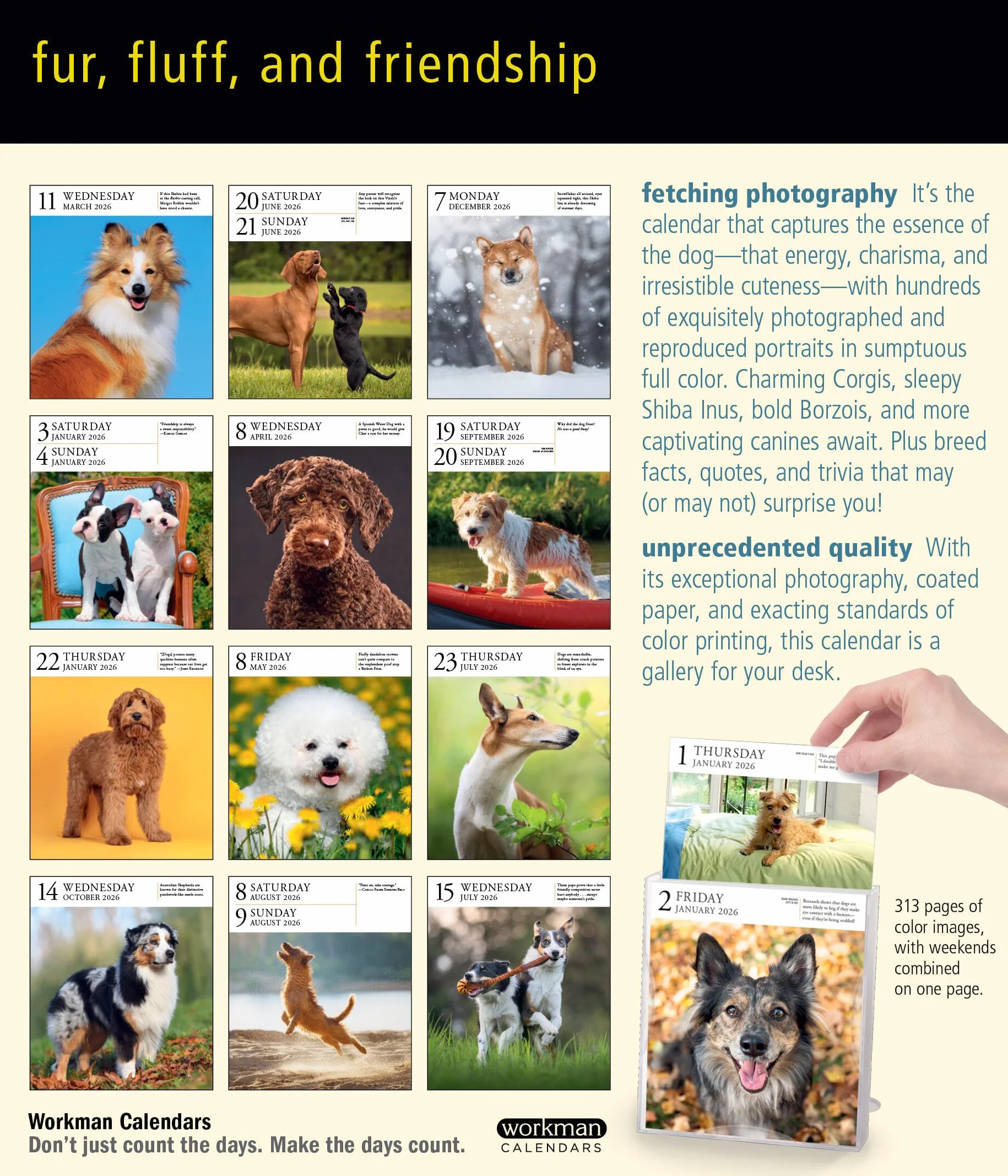 Dog Page-A-Day® Gallery Calendar 2026: An Elegant Canine Celebration